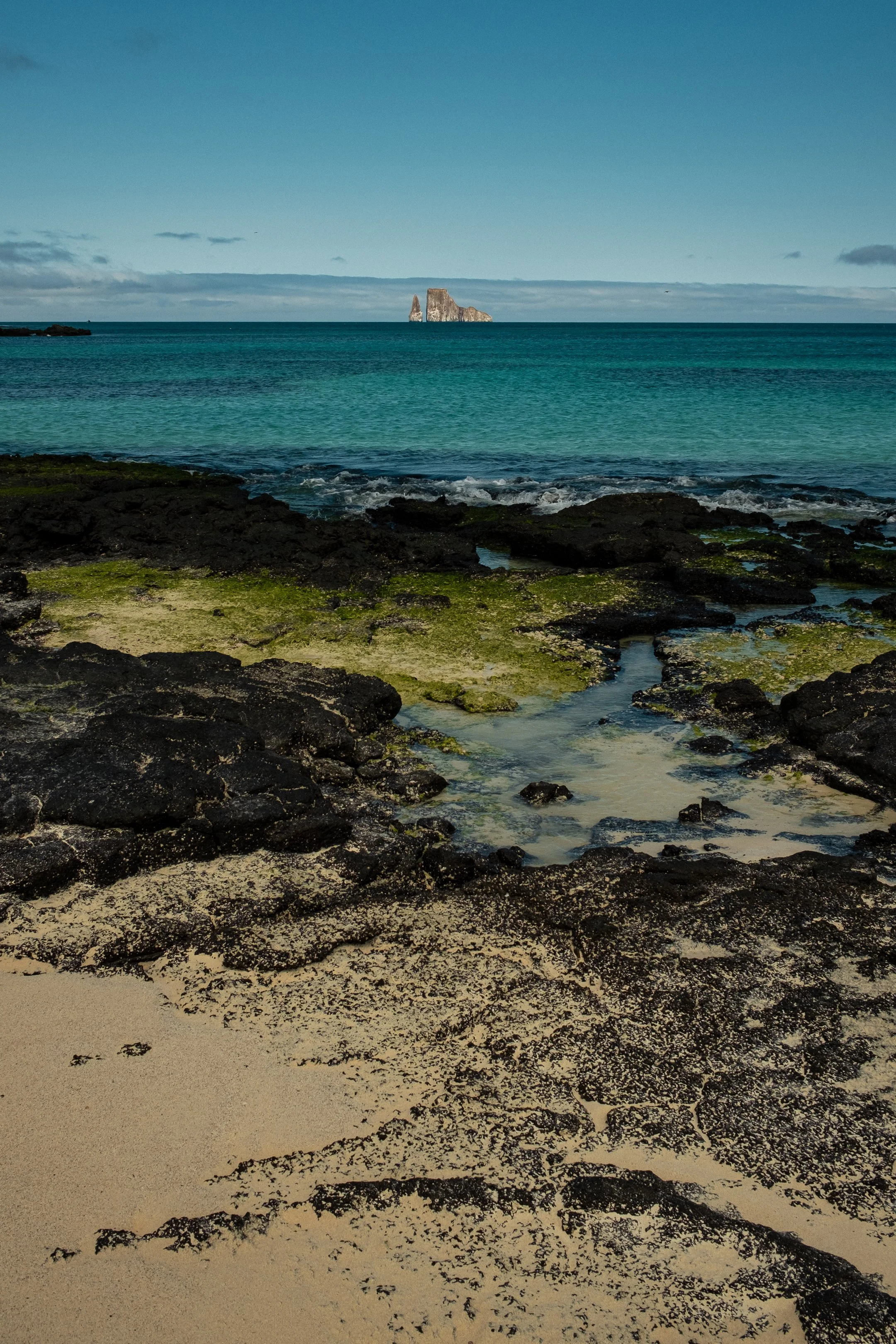 DSCF1067.jpg