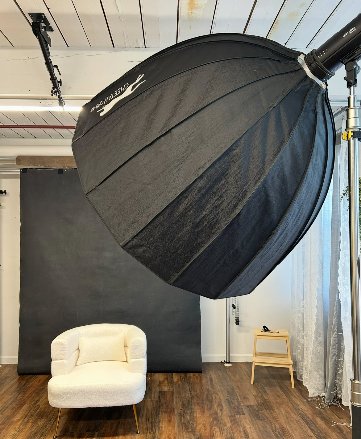 Empower Your Brand: Studio Portrait Sessions with Denise Kopko Photography