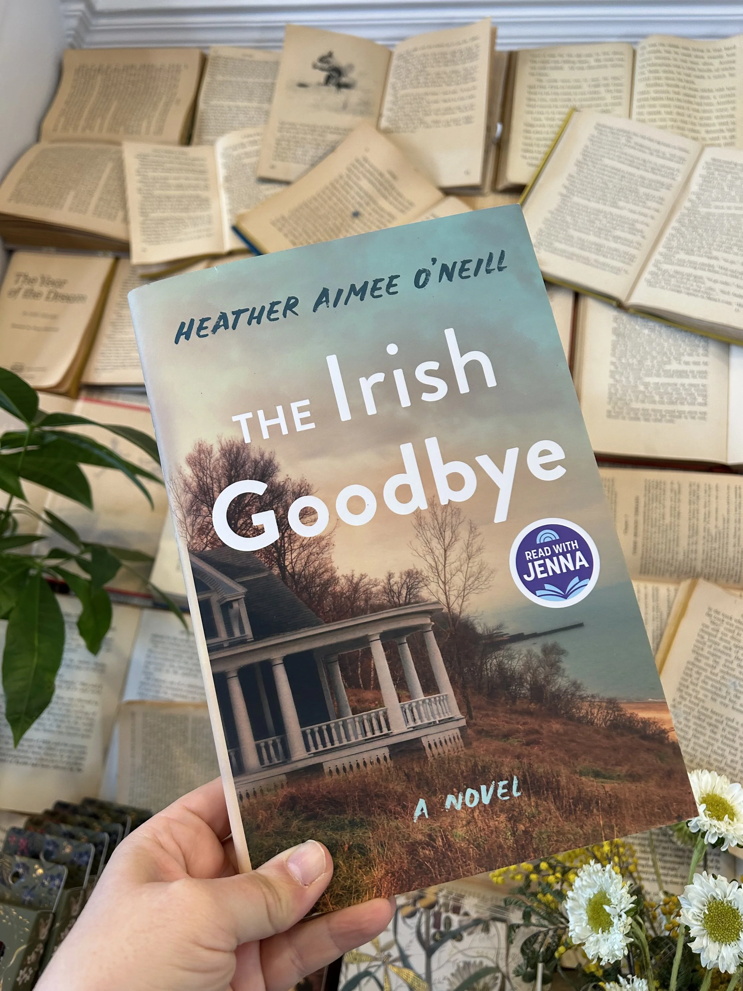 Book Club Monthly Meet-Up