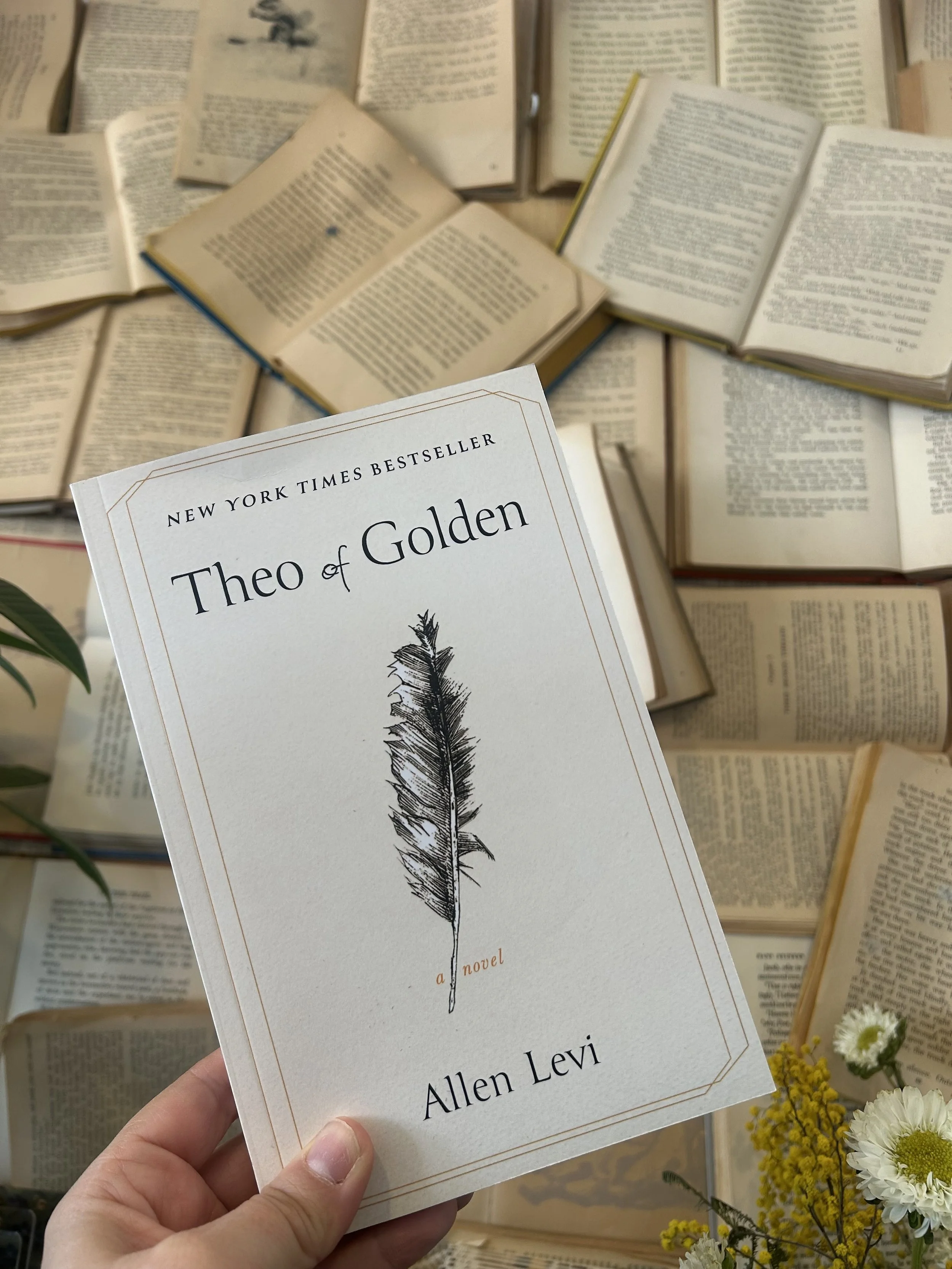 Book Club Monthly Meet-Up