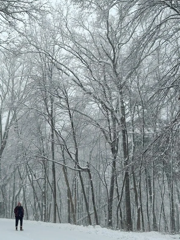 Popping in from my sneezing &amp; coughing couch to check in on you! 

I hope you are safe &amp; cozy in between being so strong &amp; cold as you battle the elements and clear paths to your doors, gas tanks, chicken coops and other outdoor spaces.

