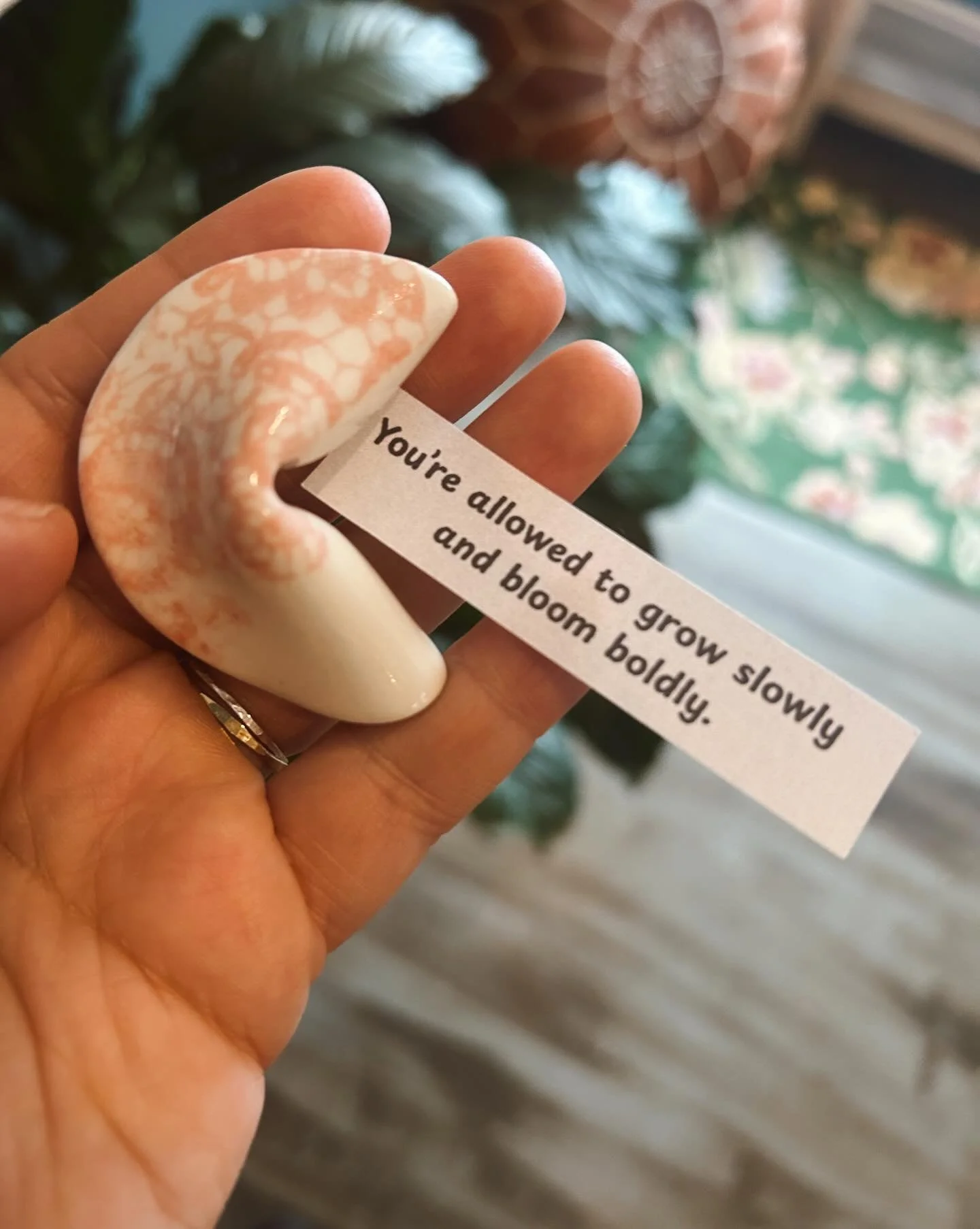 A reminder to those who have been planting and replanting seeds for years. Most growth happens underground in the dirt, with the worms, and where the sun doesn&rsquo;t shine. Along the way you weather the storms and patiently await for things to bloo