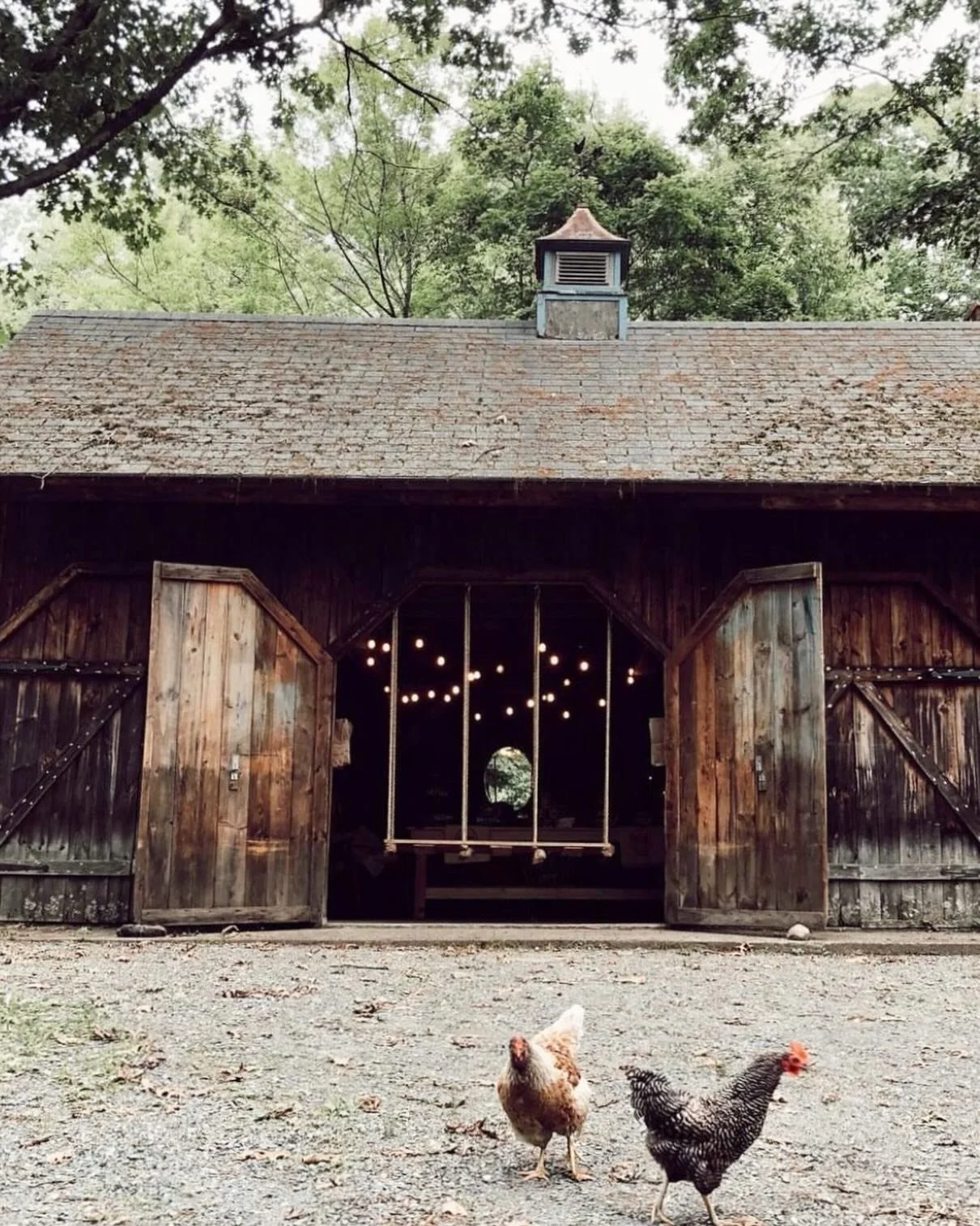 A few Bird &amp; Bear Backyard Barn updates:

🐓 A reminder to Bird &amp; Bear Nest &amp; Rest + Explore &amp; Soar Members that our next Barn Social &amp; Member Bonfire is happening Monday, June 8th @ 6:45pm. Please RSVP so we can have a count for 
