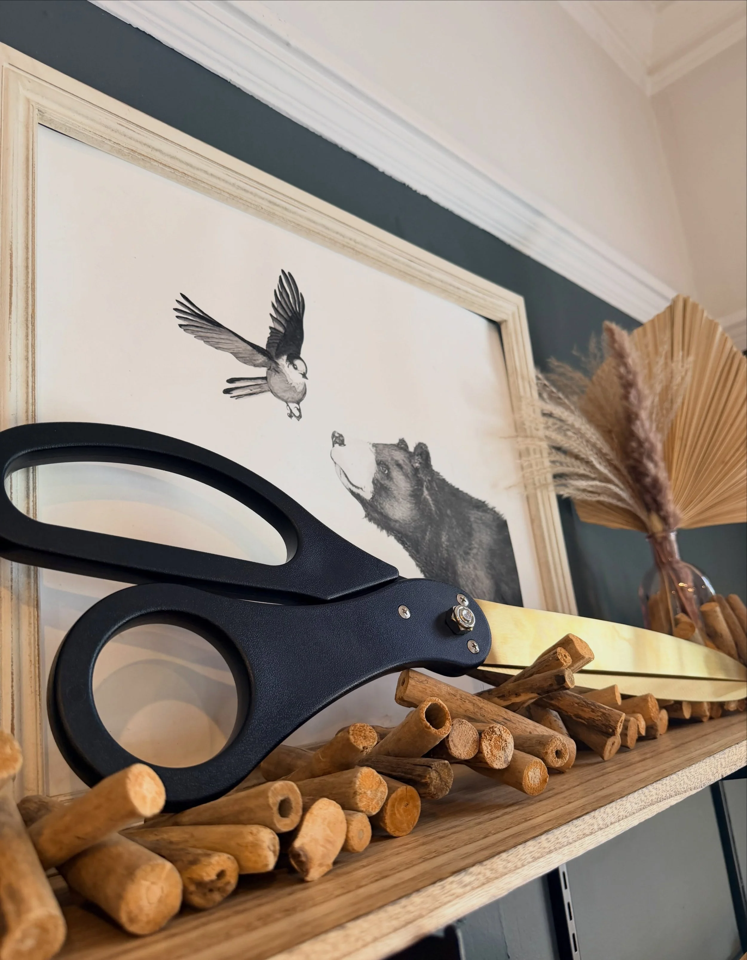 Tonight we turn the page to another chapter at the Bird &amp; Bear ~ with the first of many new ribbon cutting celebrations.

Over the past few years we have helped to celebrate the launch of hundreds of new businesses and brands. We have done this t