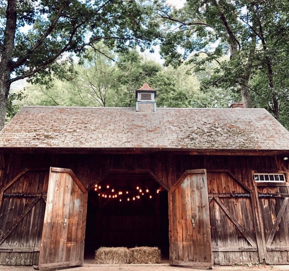 Bird & Bear Hay Bale Mini-Sessions