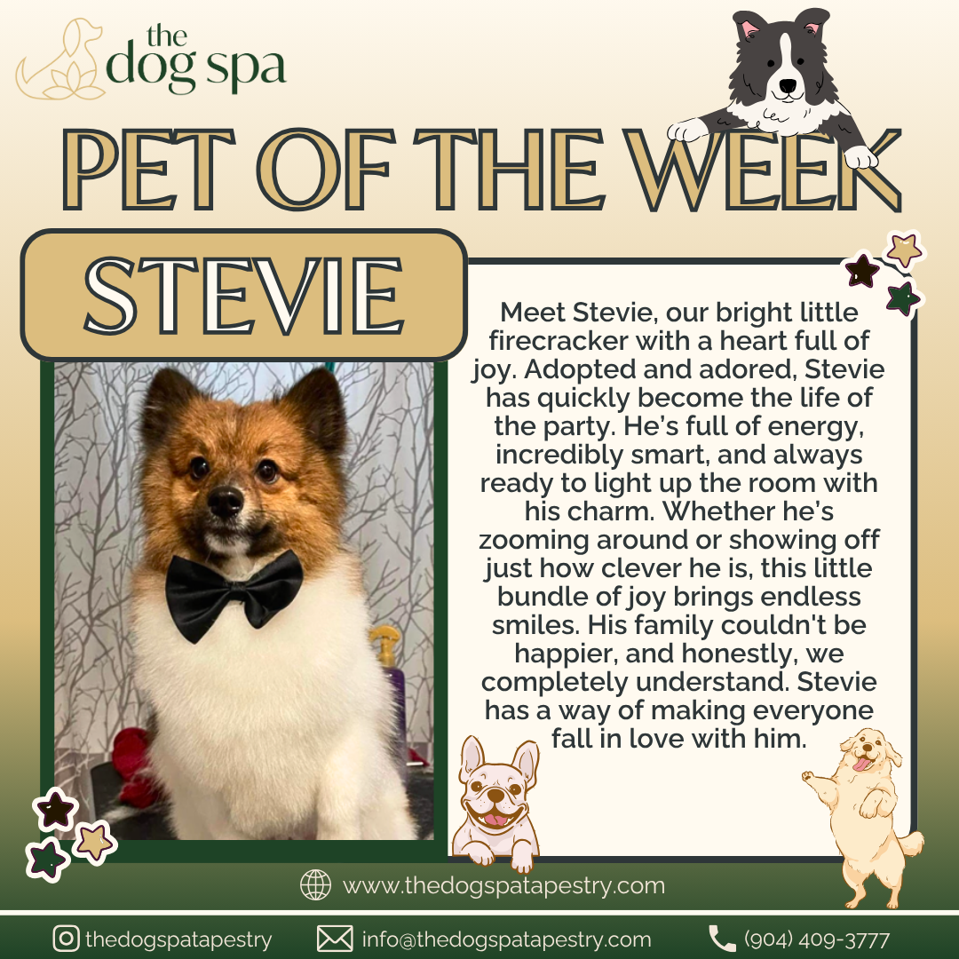 AUGUST 03 - POTW SUNDAY.png