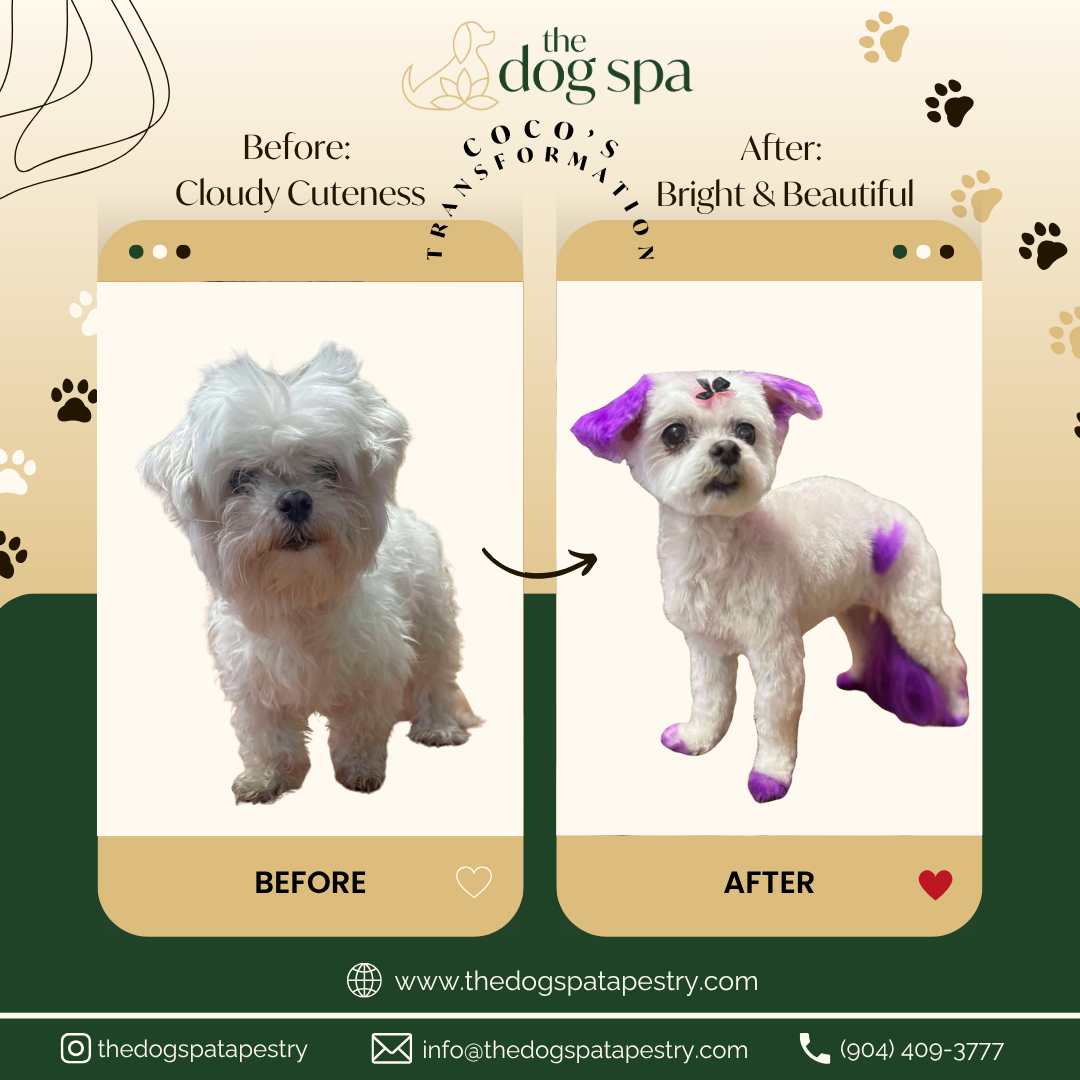 JULY 01 - TRANSFORMATION TUESDAY.png