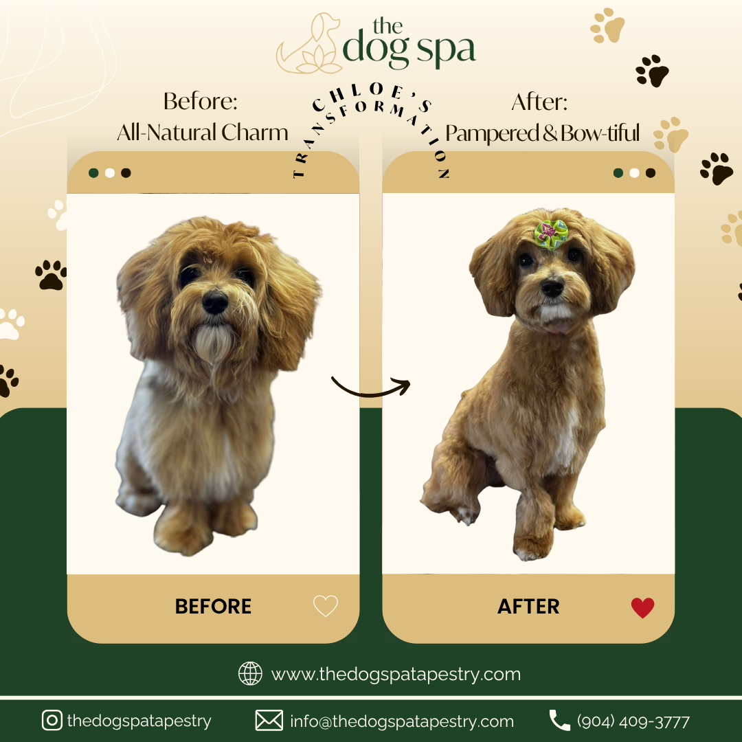 JULY 08 - TRANSFORMATION TUESDAY.png