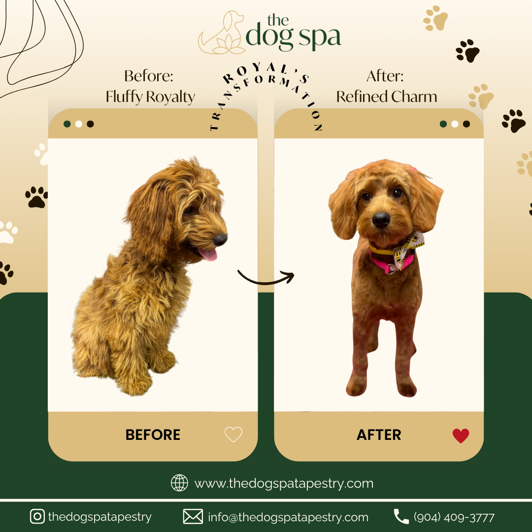 JUNE 17 - TRANSFORMATION TUESDAY V2.png