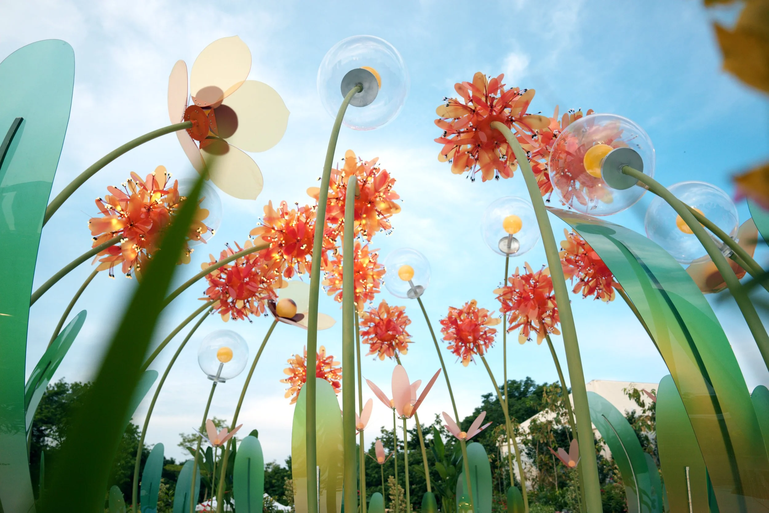 known by flower day - 01.jpg