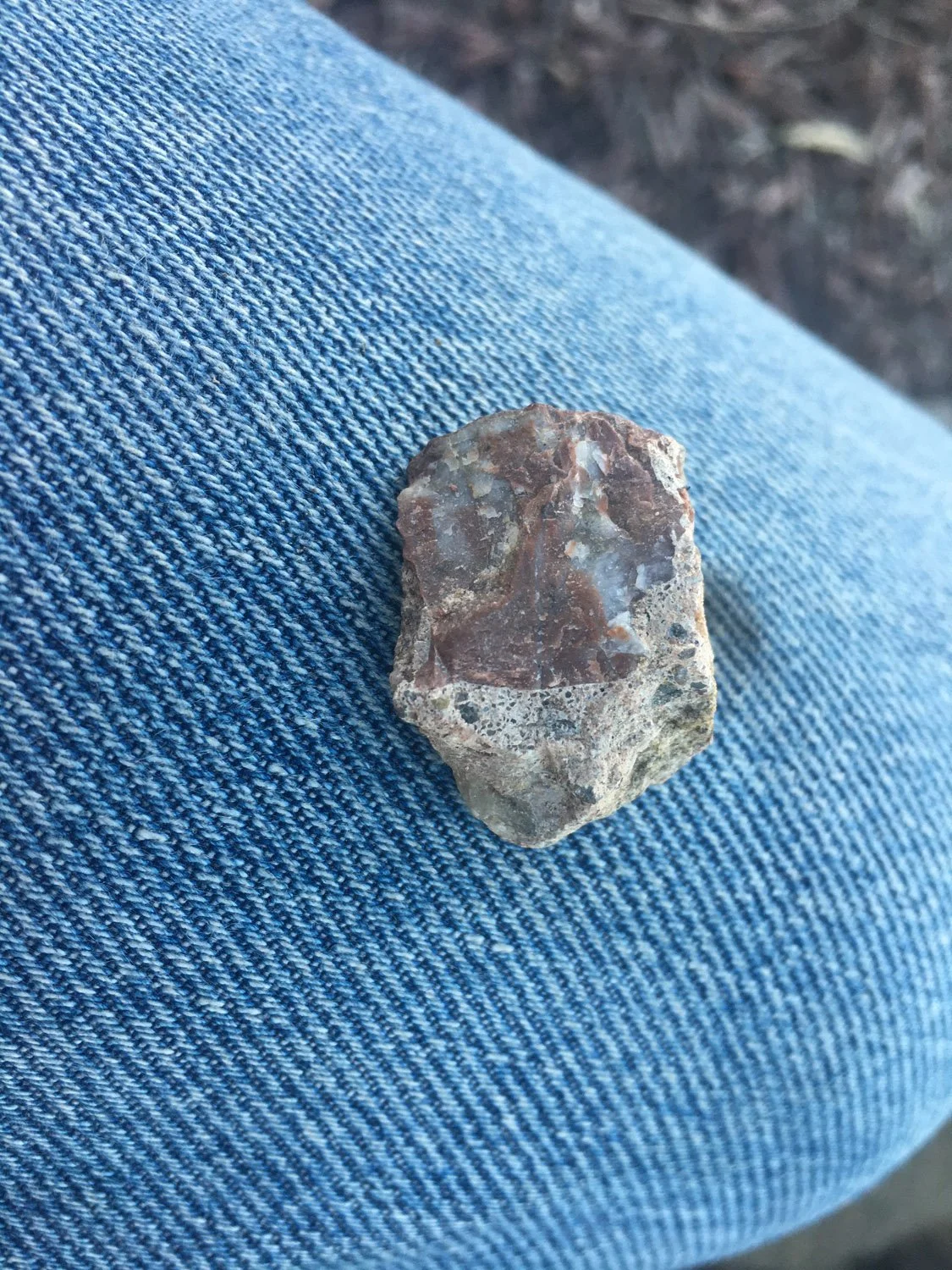 Rock Head
-Jim