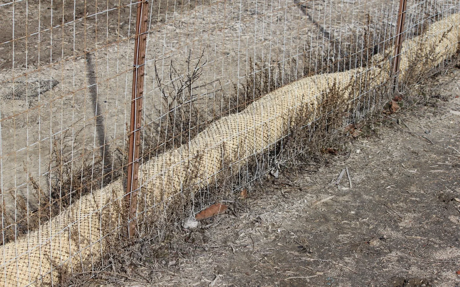 Roll in the Hay
-Jim