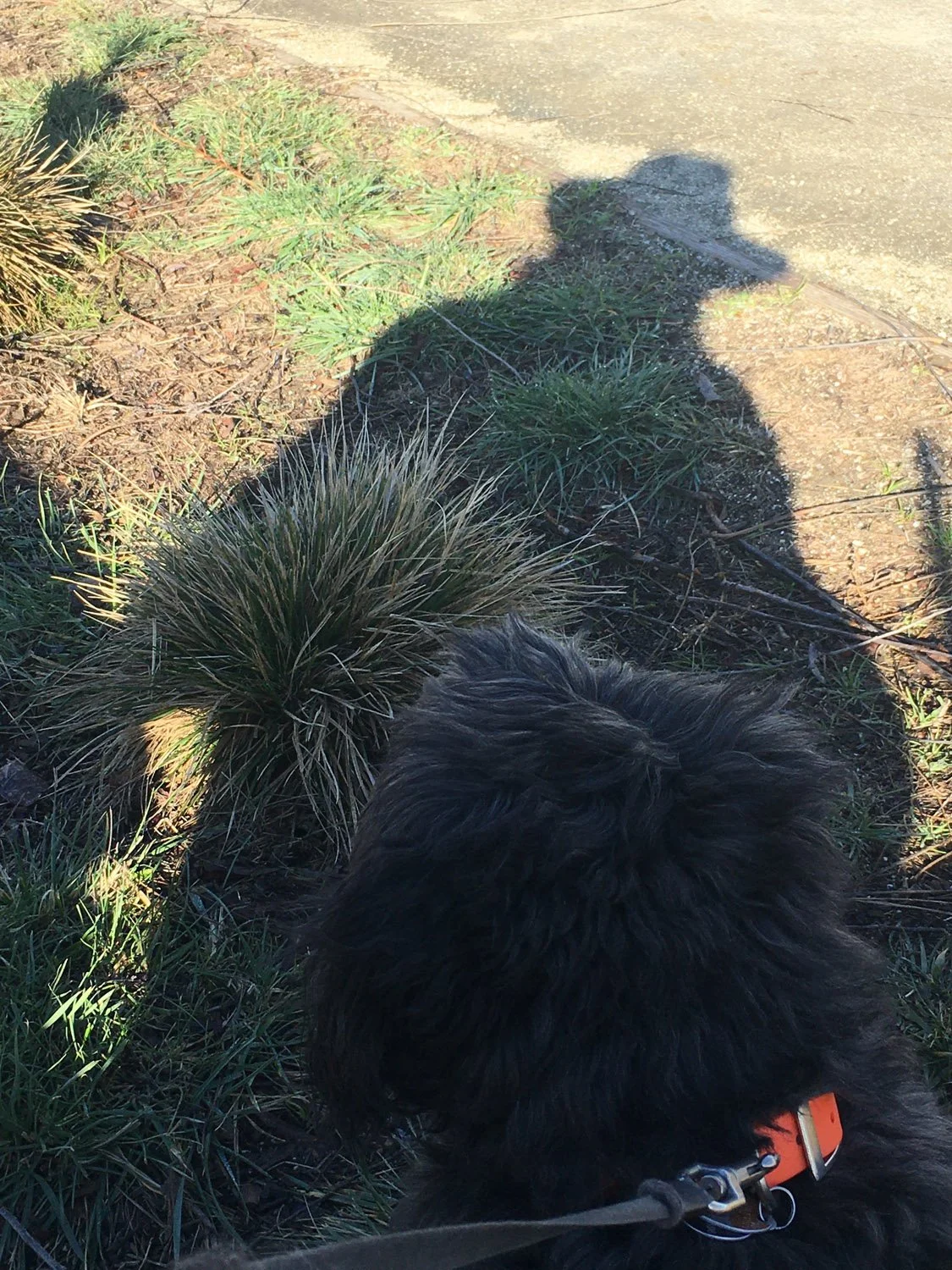 She and My Shadow
-Jim