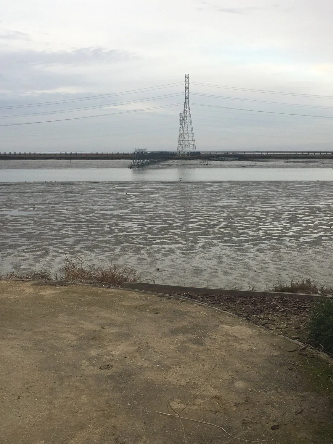 Low Tide
-Jim