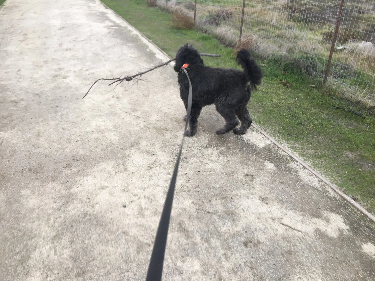 Walk Soft and Carry…
-Jim