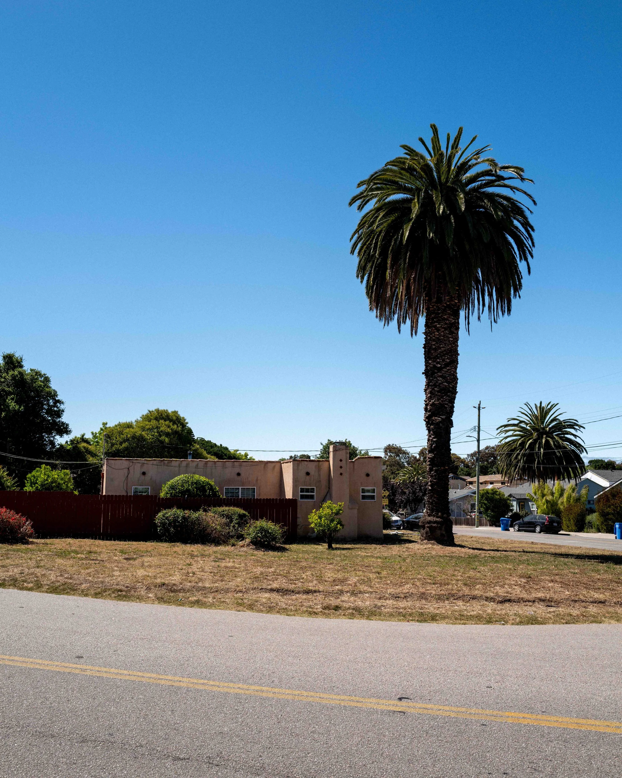 "Palm Desert in SLO"
Leica Q2
