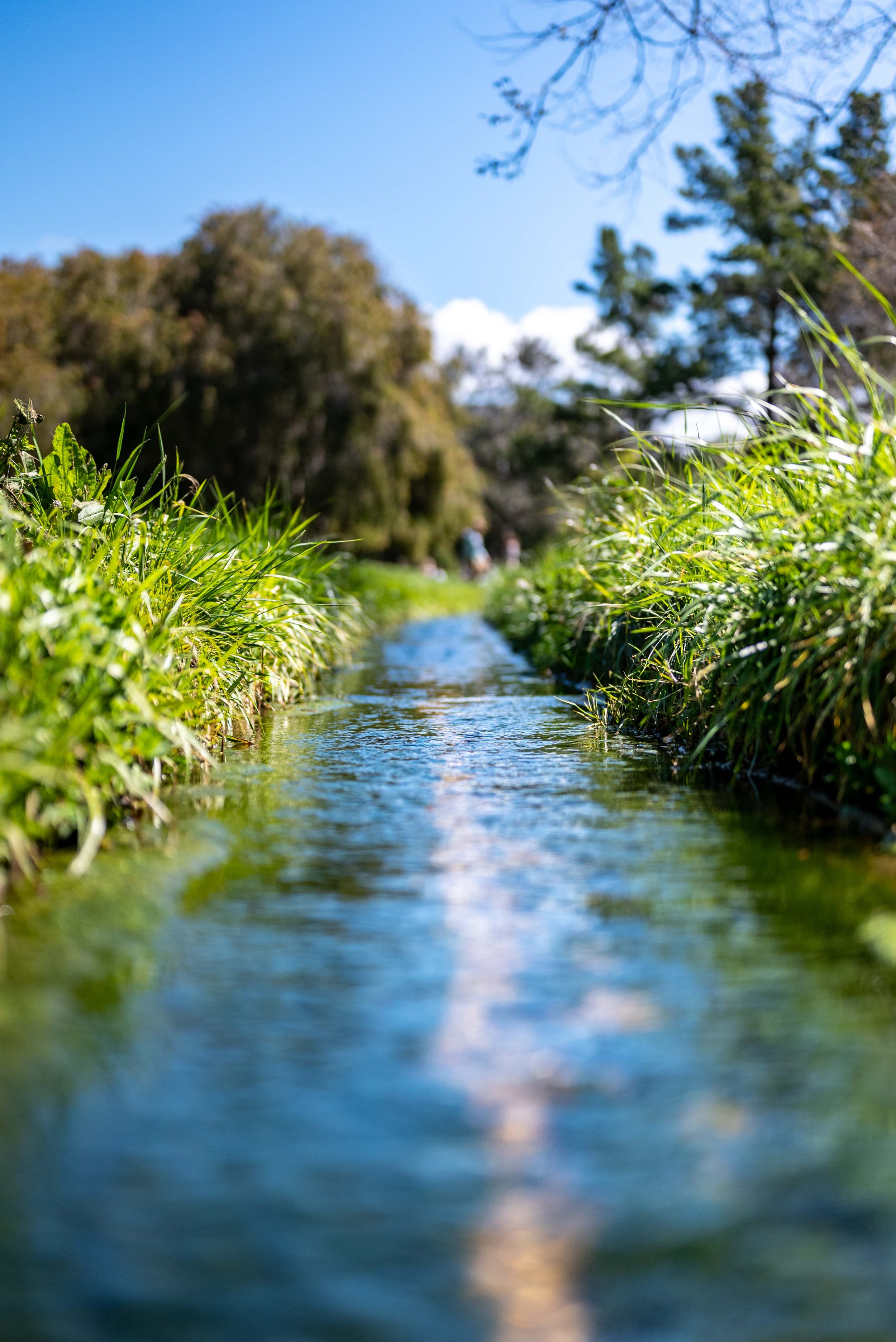 Miniature River
-Ian