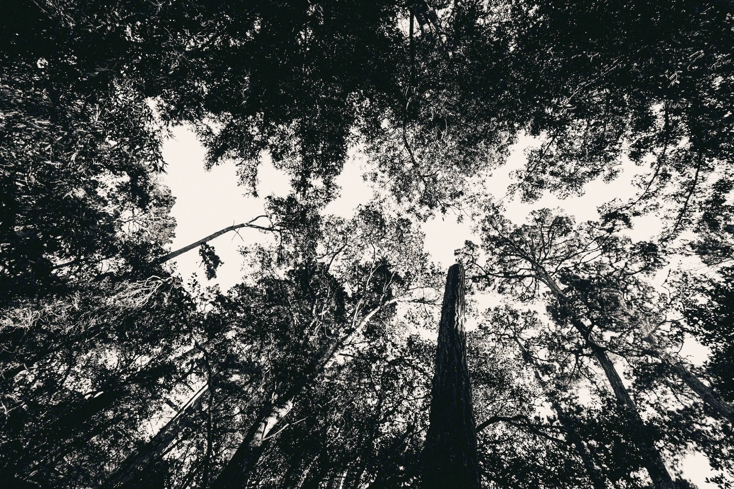 Danielle and Ian's 9 Year Anniv-8103.jpg