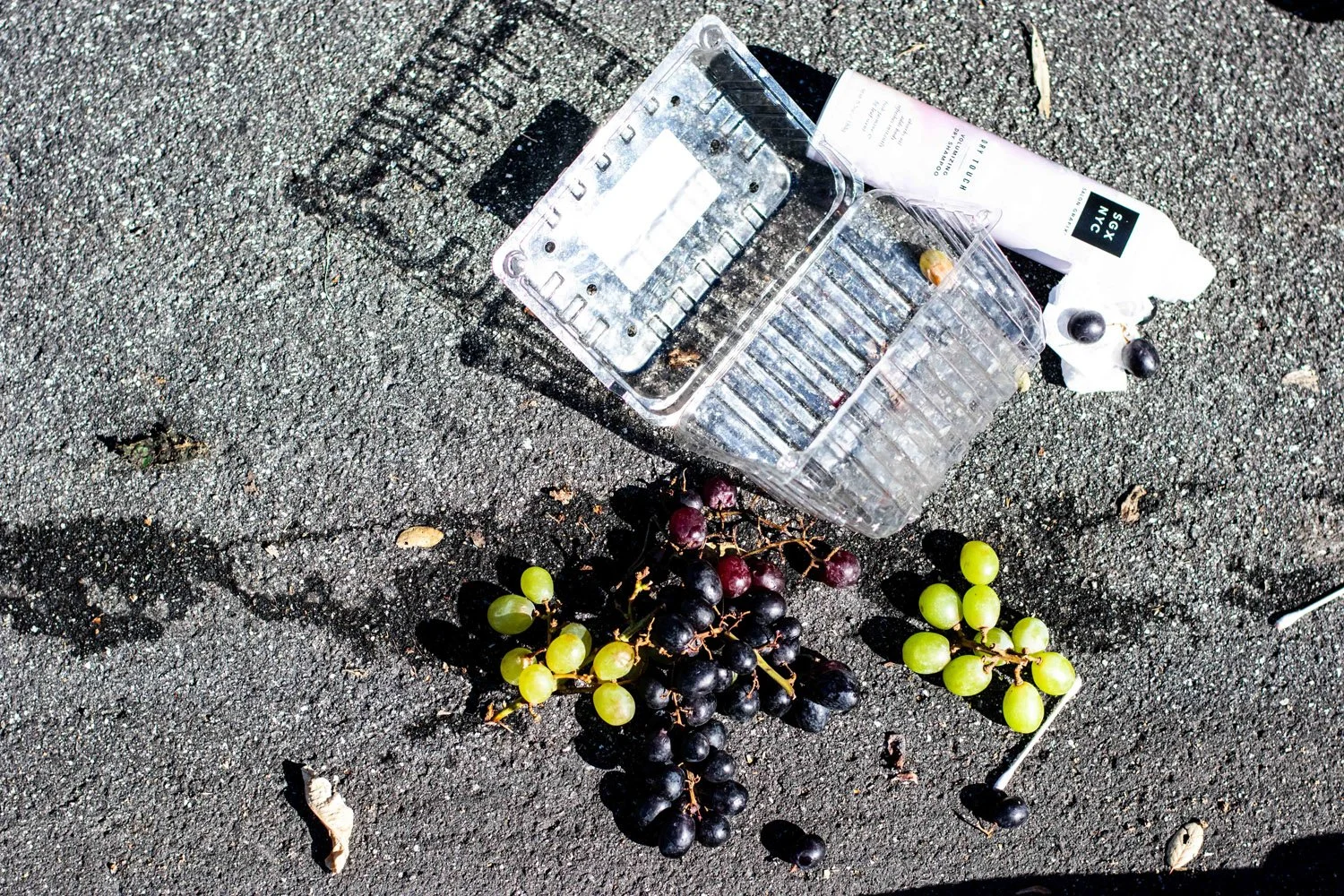 The State of Things (2021)
-Ian