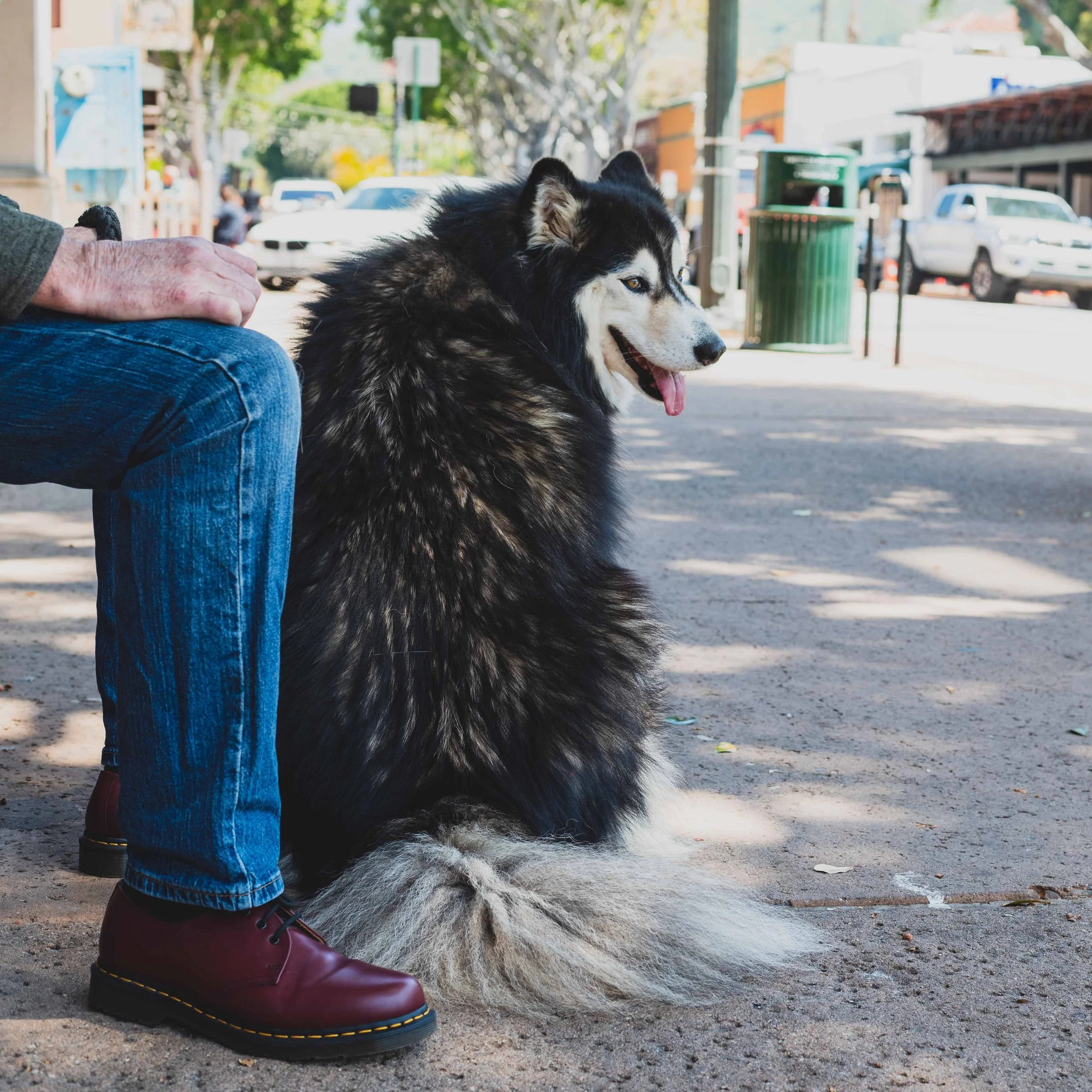 Kara from Ireland
-Ian