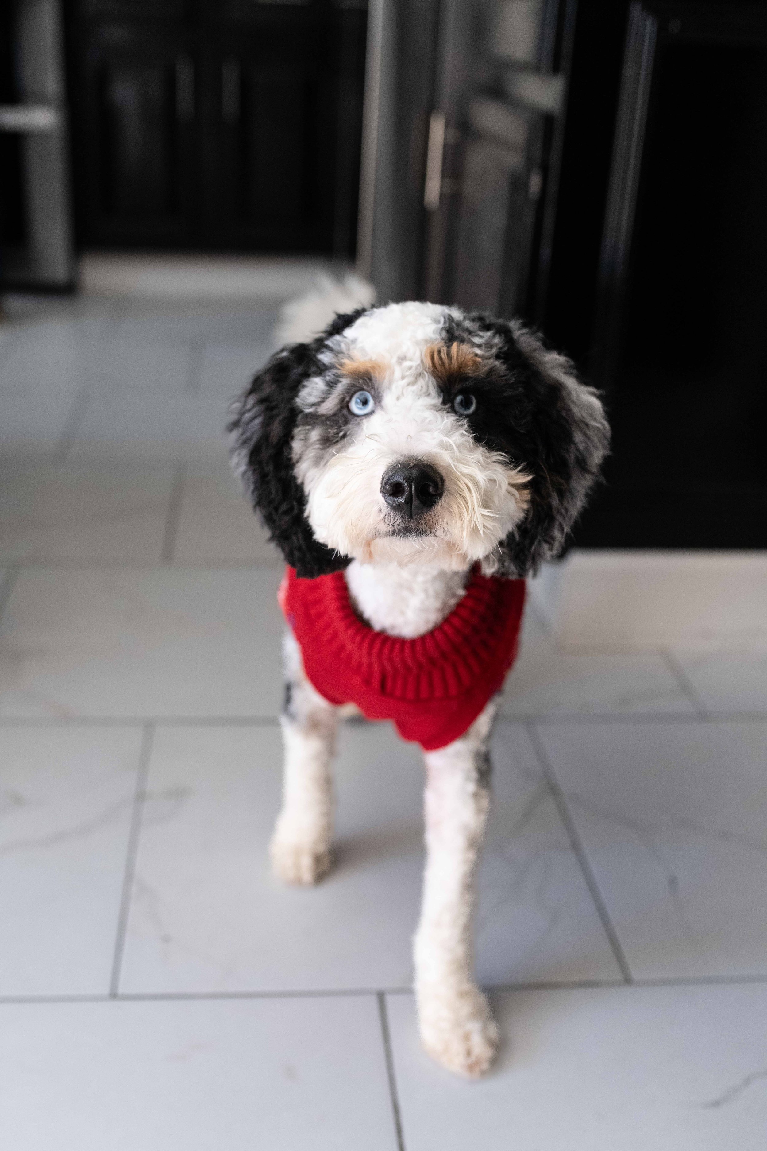 IHS-Piazza Fam Christmas Party-4447.jpg