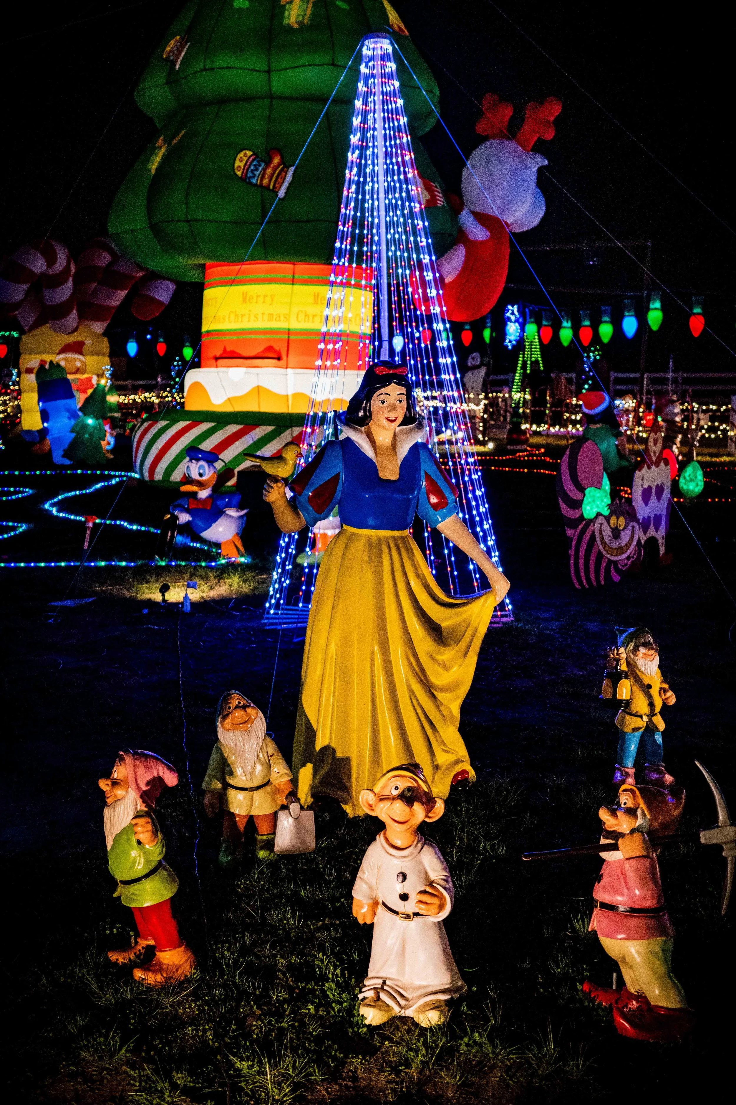 IHS-Candy Cane Lane-GR-003303.jpg