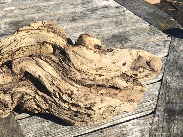Drift Wood Profile
-Ian