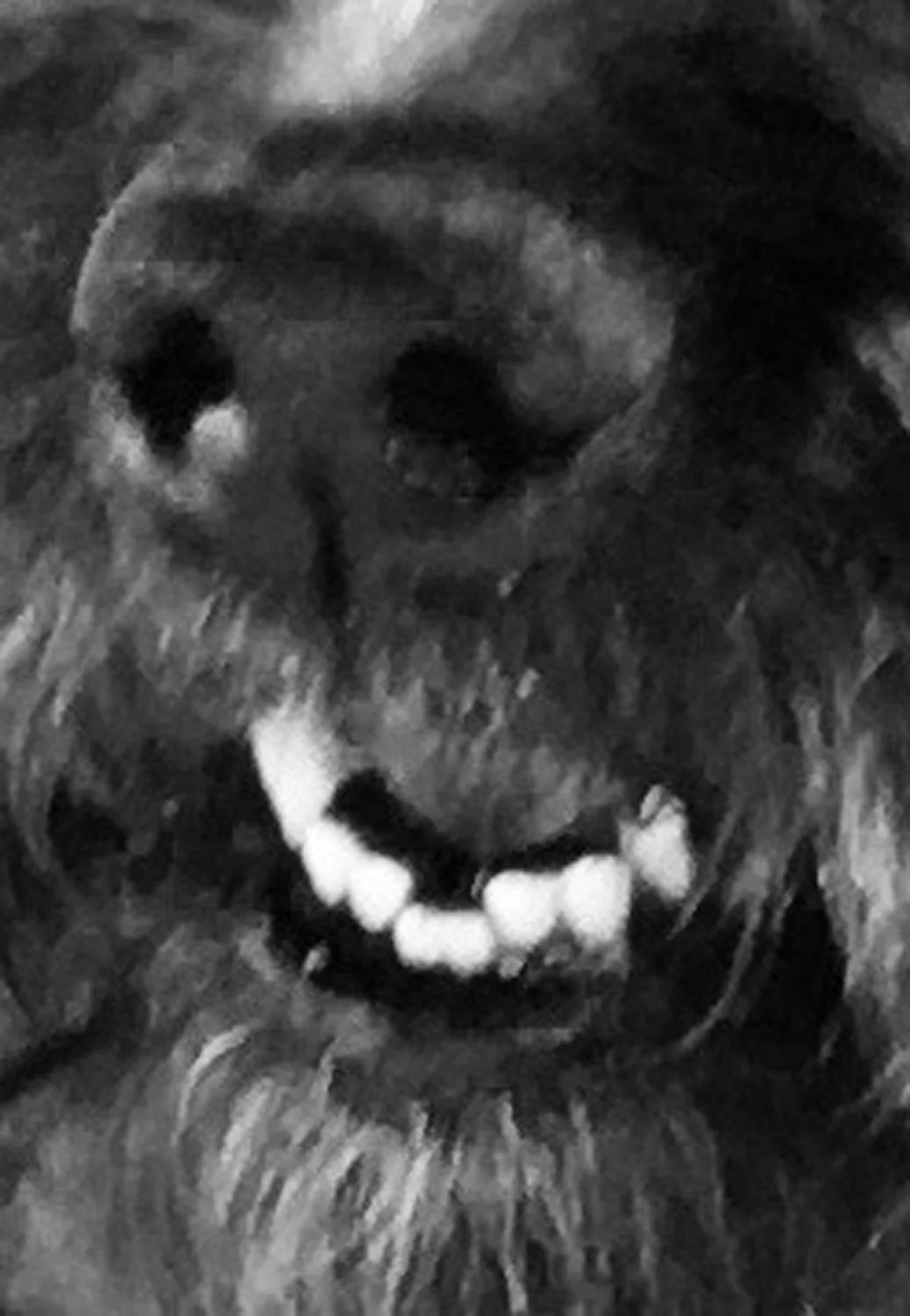 Snout and About
-Jim