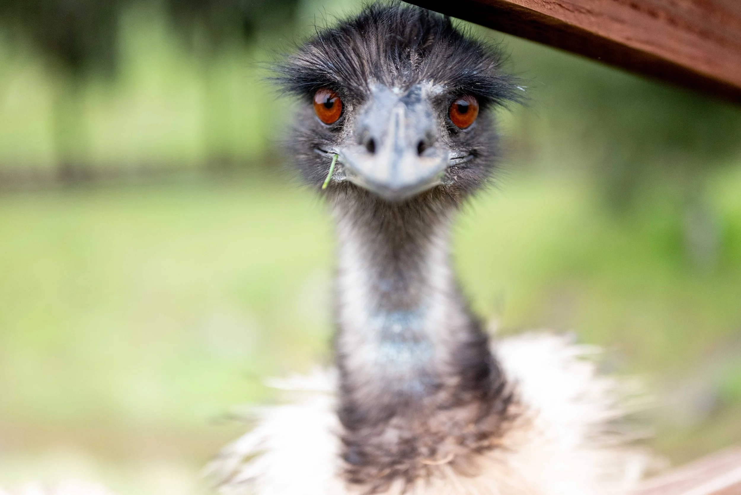 Peck in 3…2…1…
-Ian