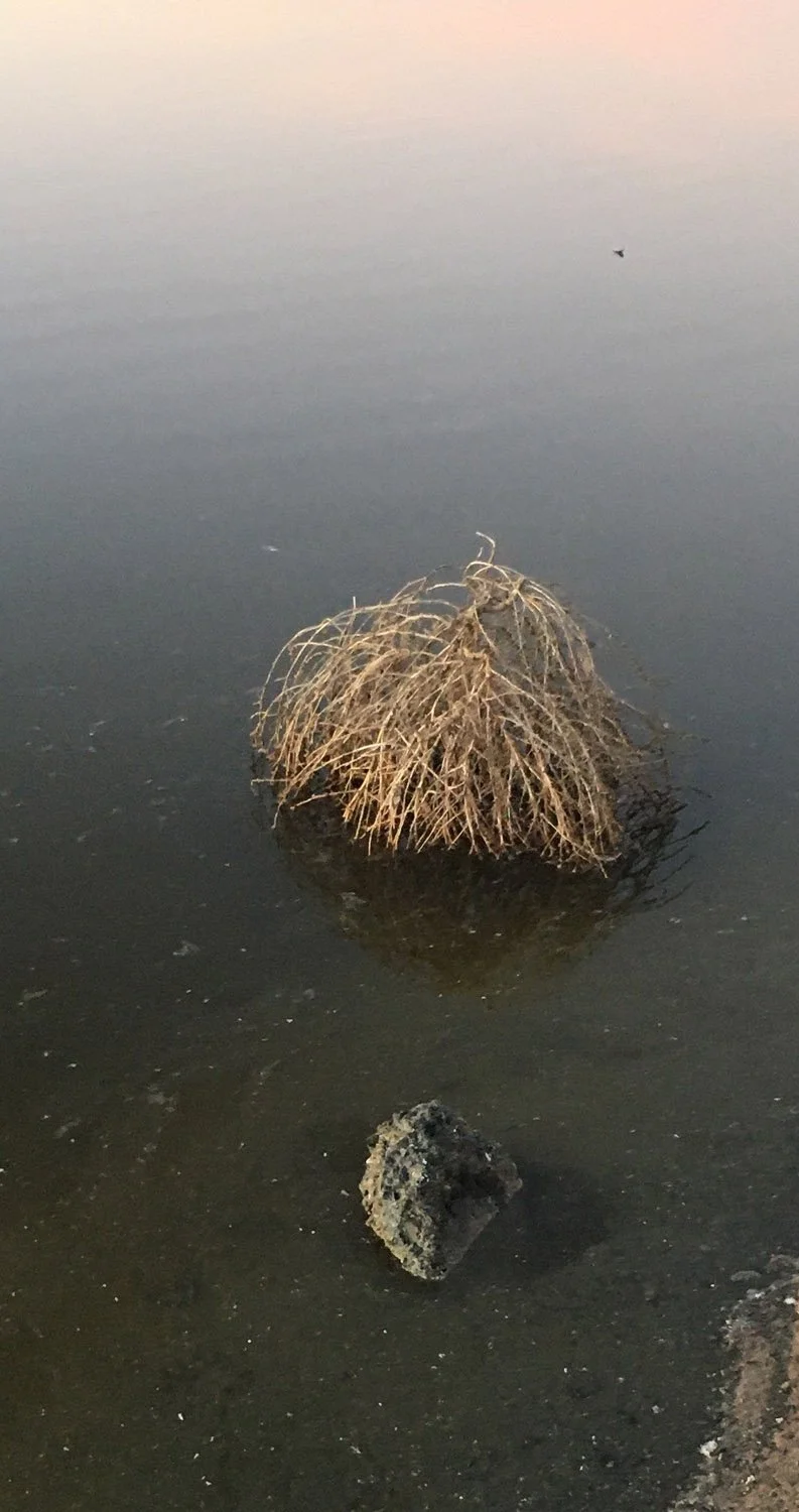 Don't Look Back
-Jim