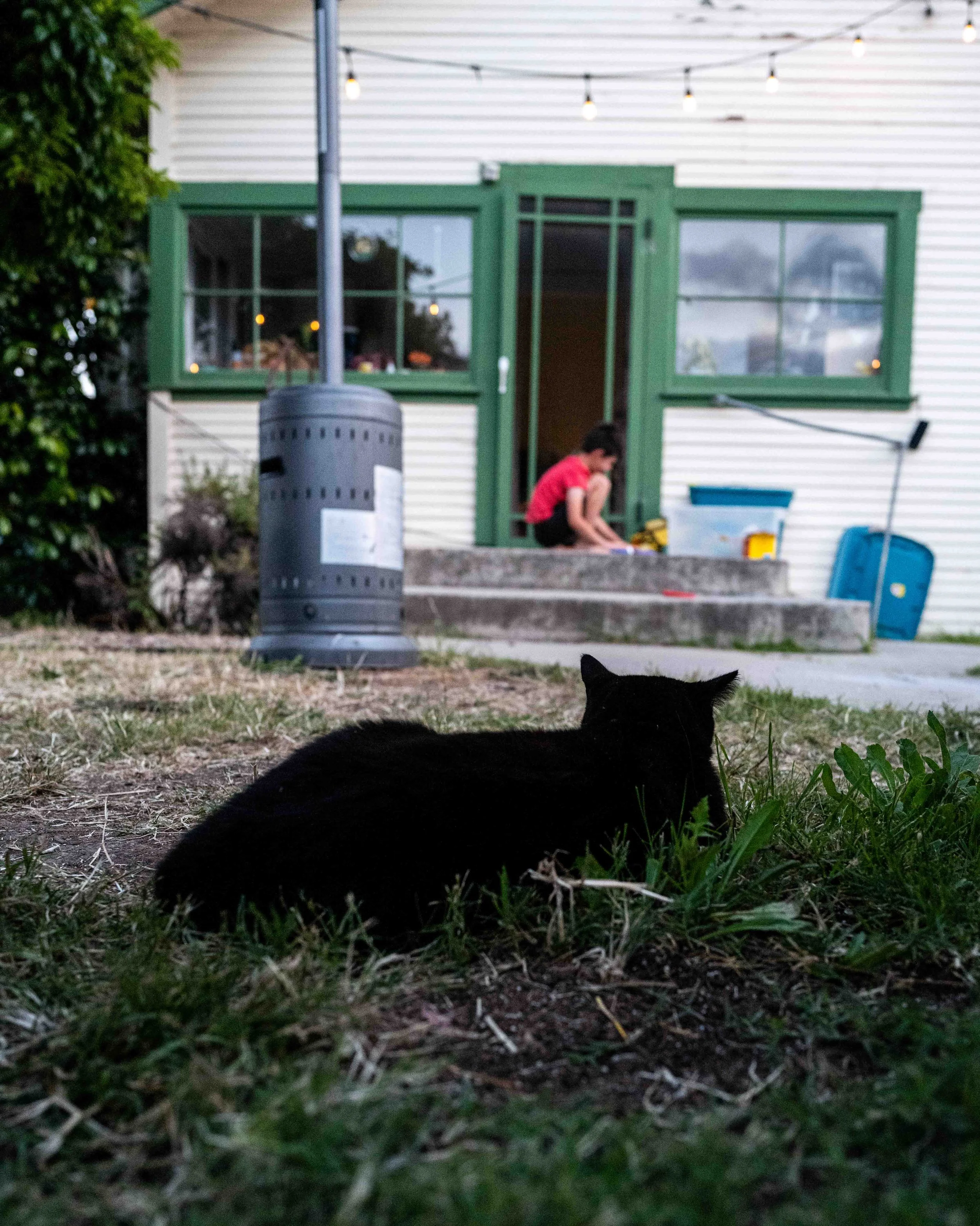 " Lying in Wait"
Leica Q2