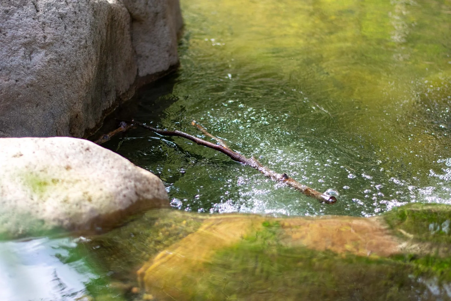 Past Tense Stick
-Ian