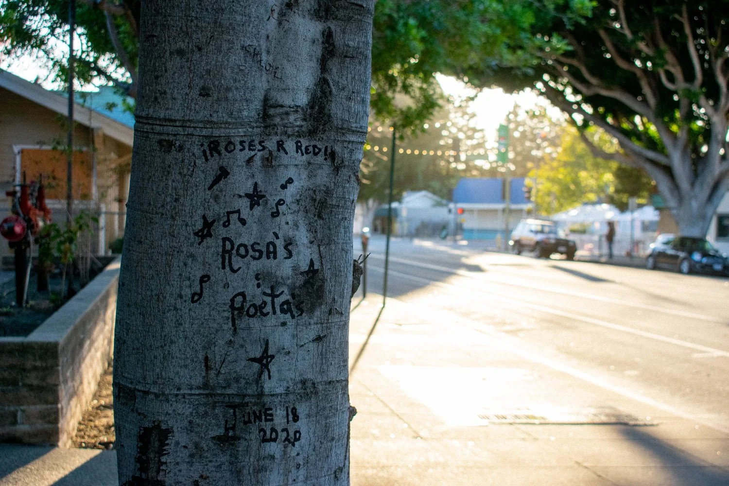 Community Board
-Ian