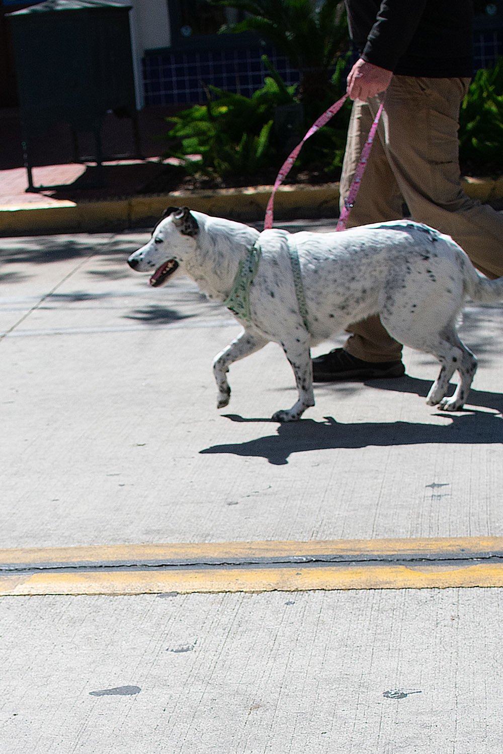 Just Keep Walking
-Ian