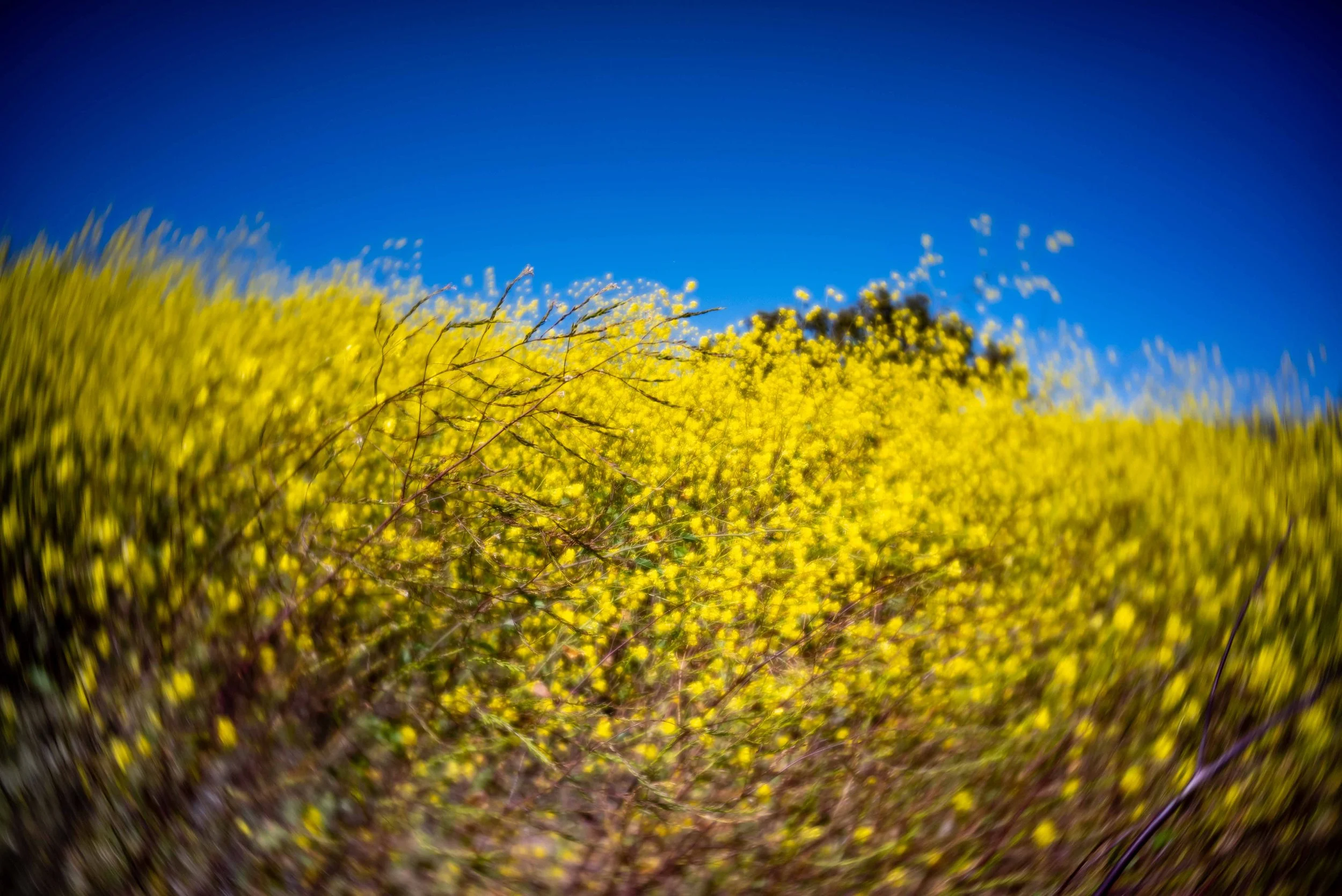 Go with the Flow
-Ian