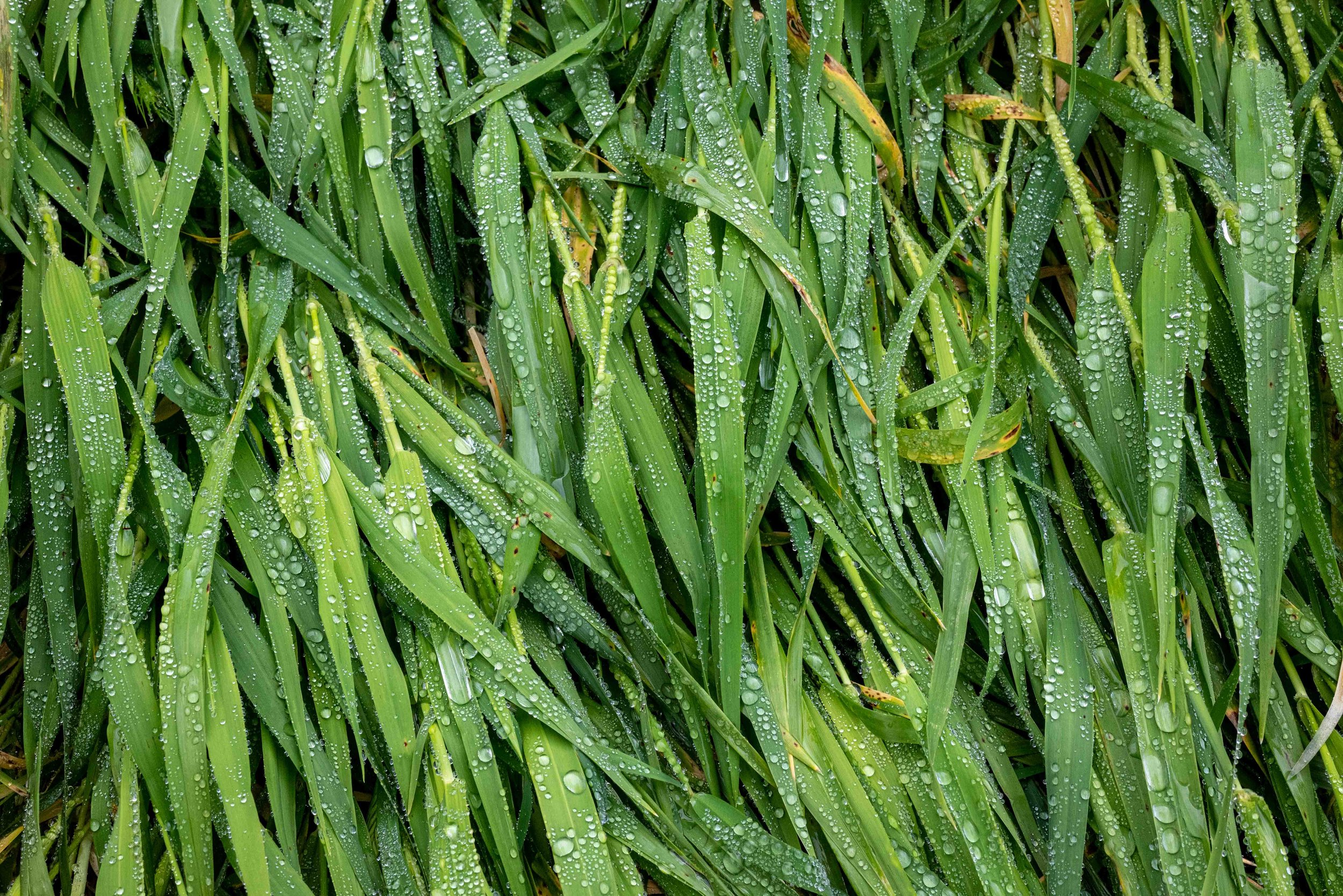 Welcome to Mac OS X
-Ian