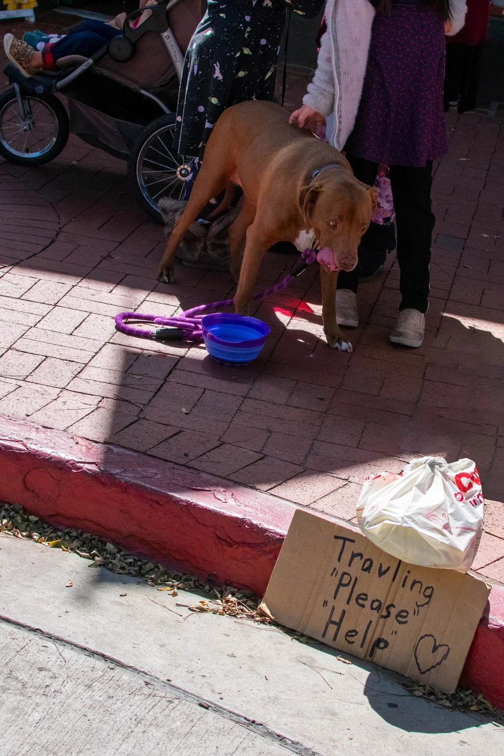 Always Ask for Help
-Ian