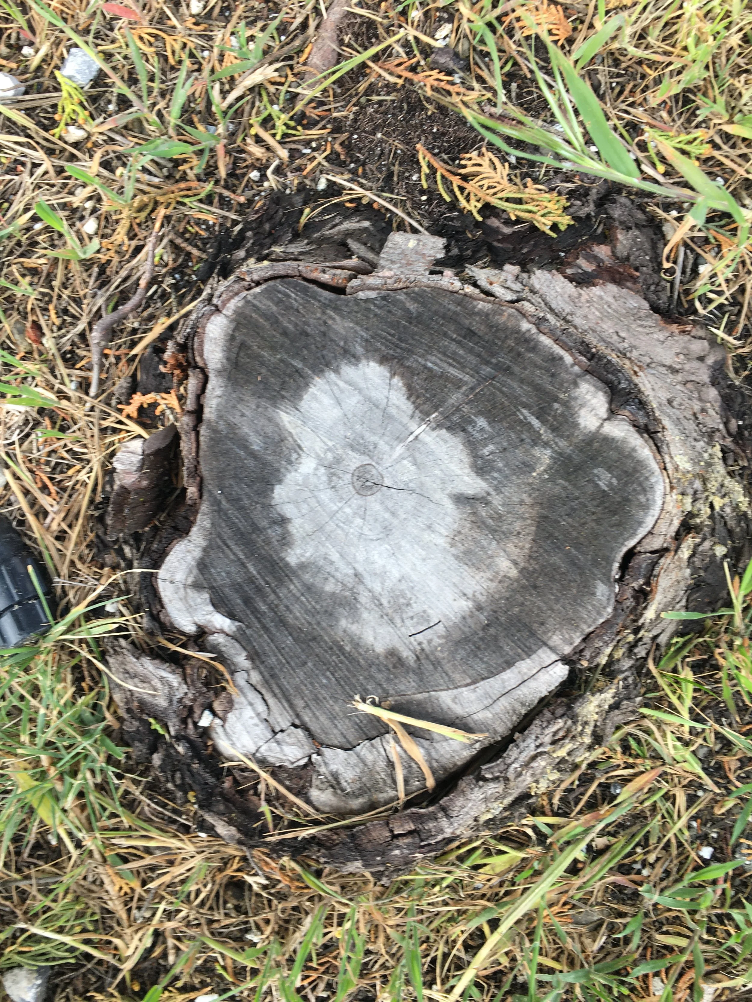 Lord of the Rings
-Jim