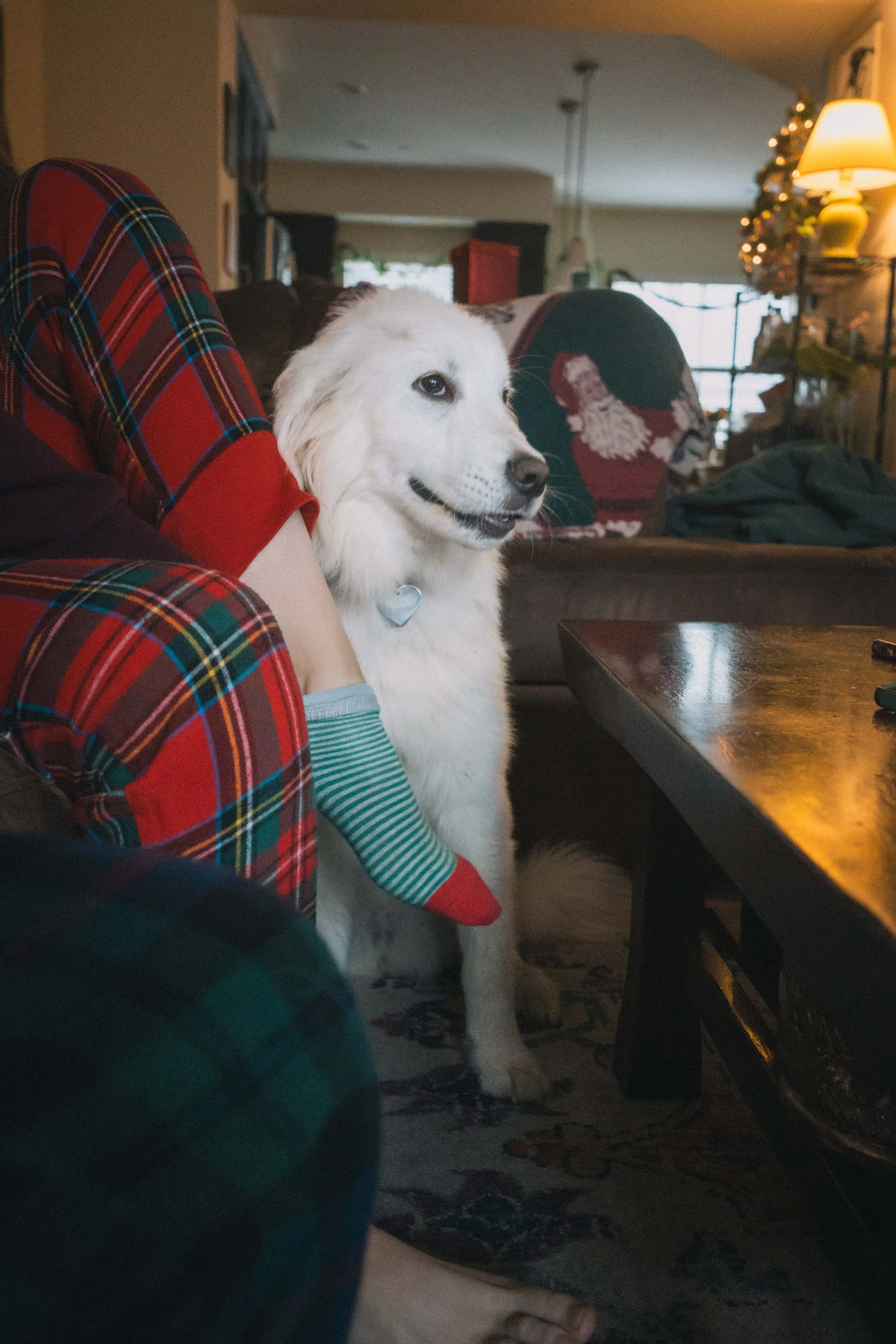 IHS-Sanderson Christmas Hang 2025-NZF-8331.jpg