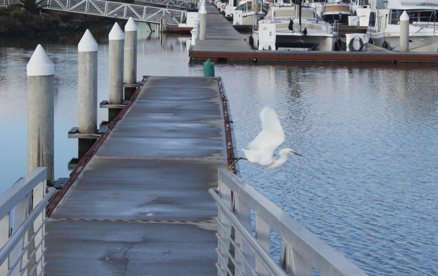 Let's Do Launch
-Jim