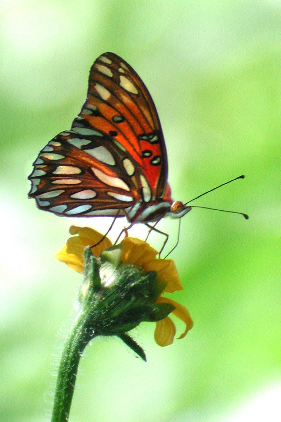 IN PERSON TRANSFORMATION DAY