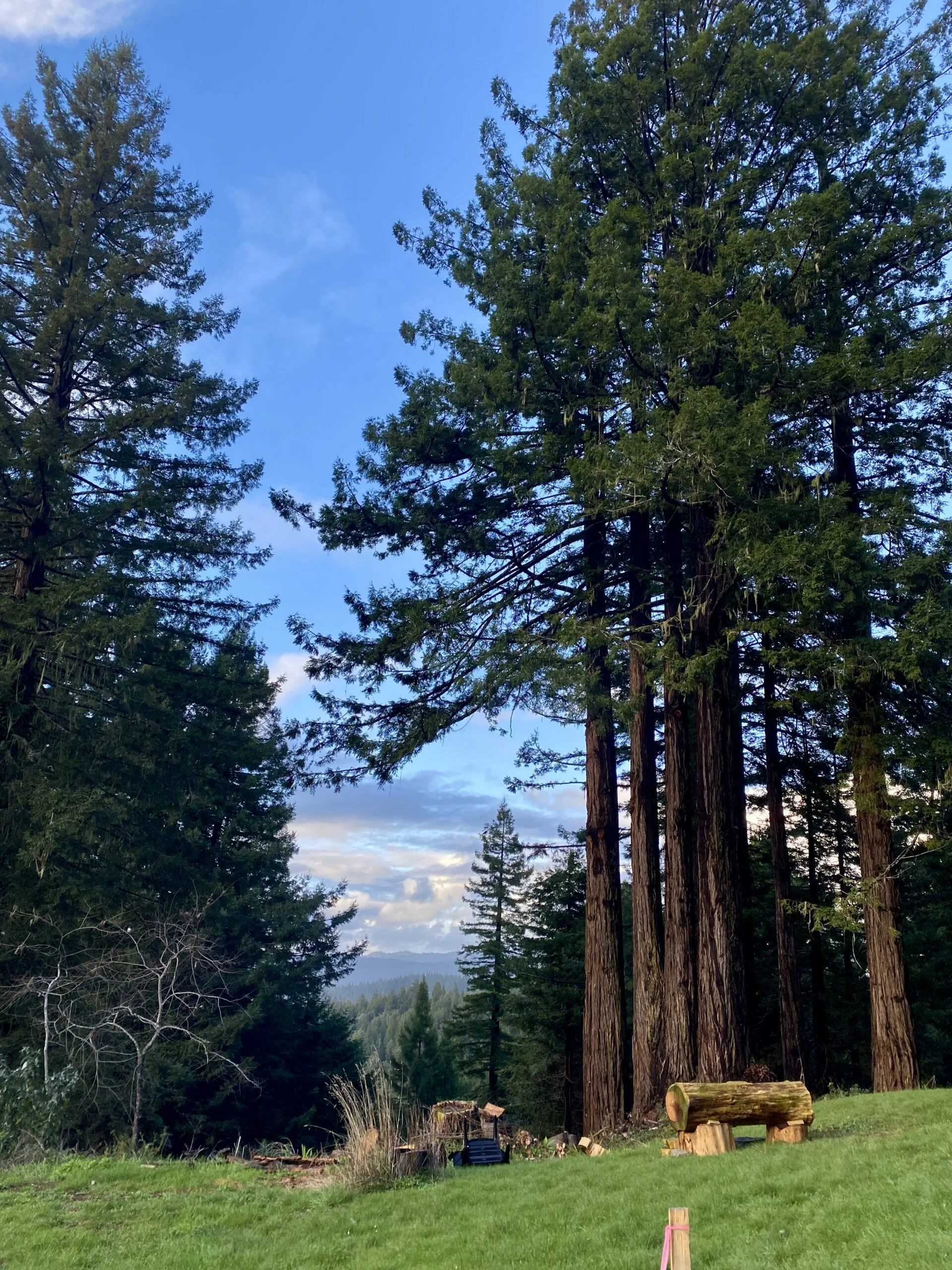 SPRING SILENT RETREAT 