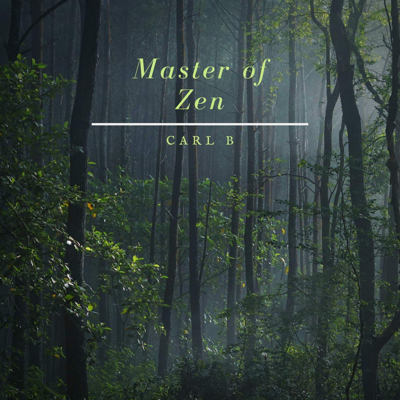 The making of “Master of Zen”