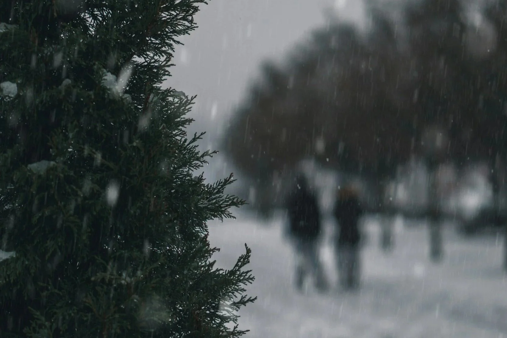 When the Holidays Feel Heavy: Mental Health Support During the Holidays