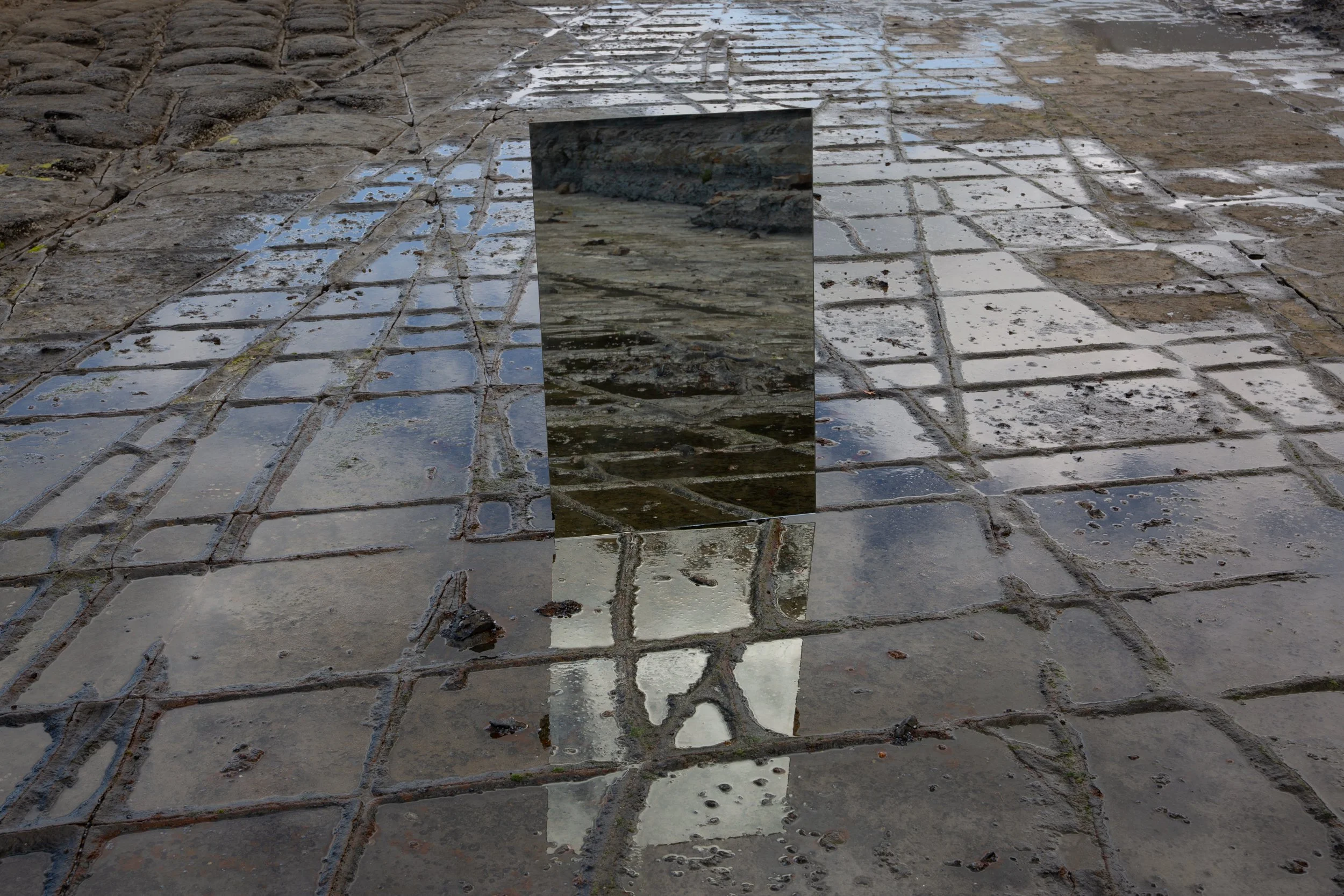 landscapemirror_beach-3.jpg