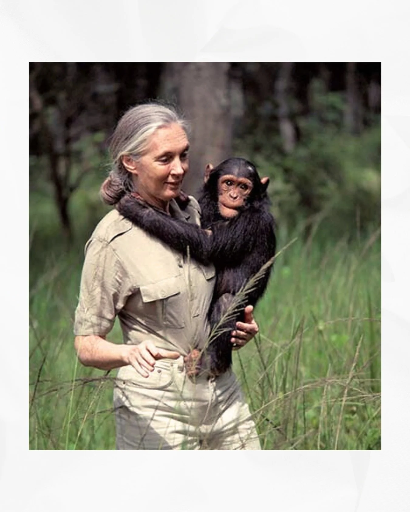 What a special lady Jane Goodall was. So special, in fact, that we have a sandwich on the menu named after her! While saddened by the news of her passing, we are so grateful for the lifetime of contributions she left behind her. In honor of her gentl