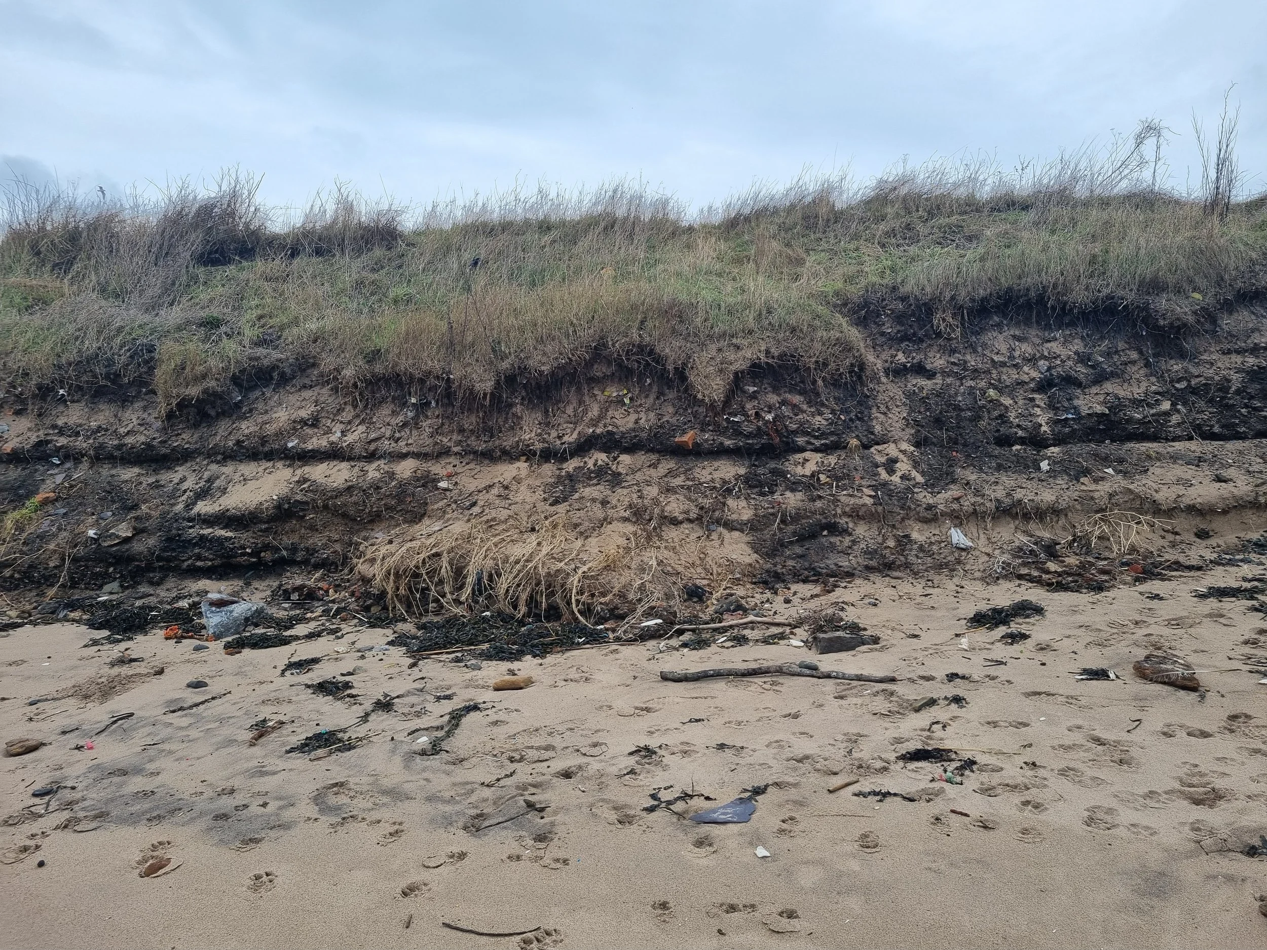 Resilience of Anthropocene Coasts and Communities (RACC)