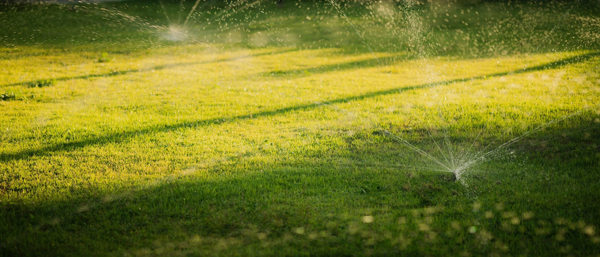 Sprinklers watering a lush green lawn during the daytime.