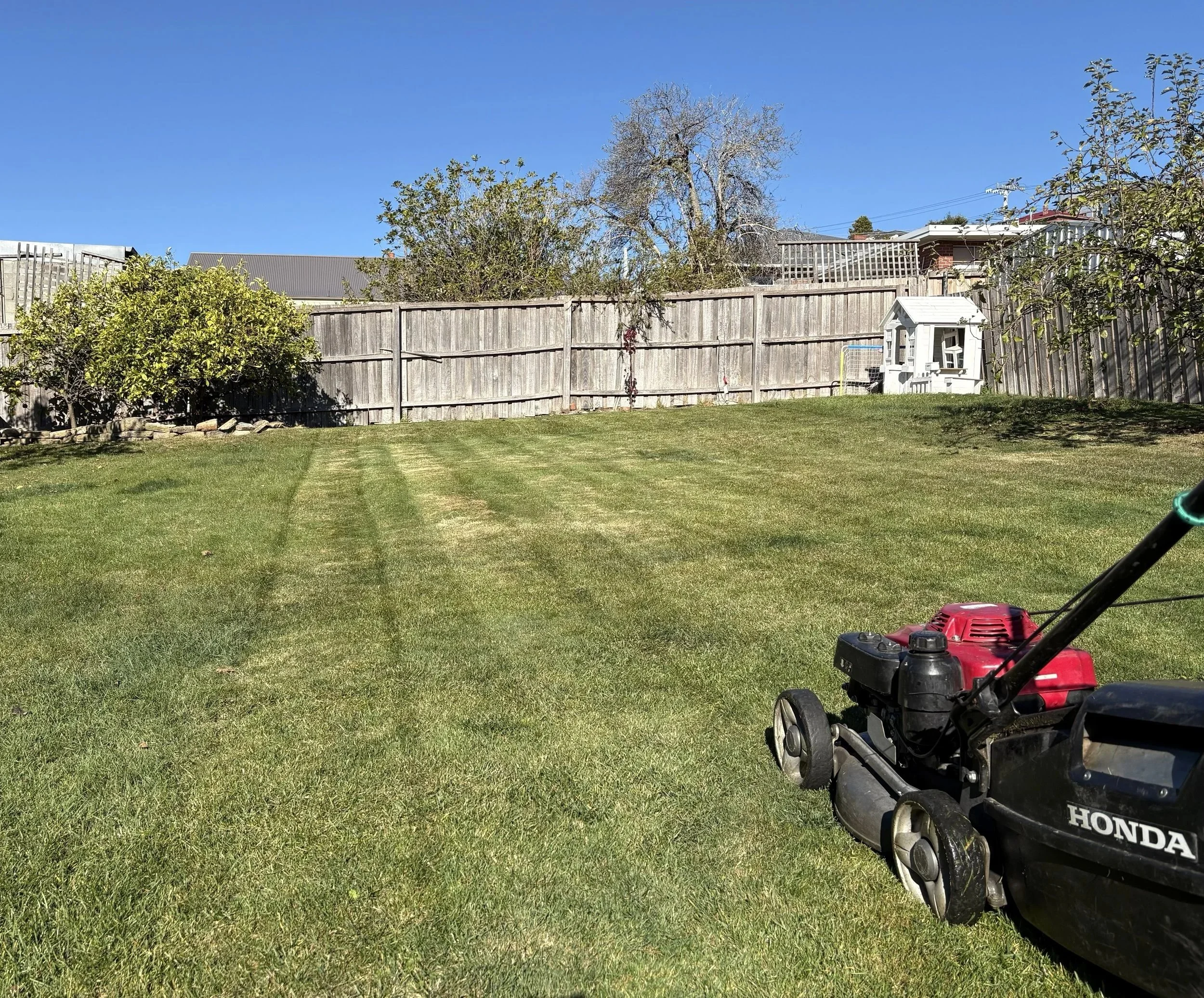 Lawn Mowing