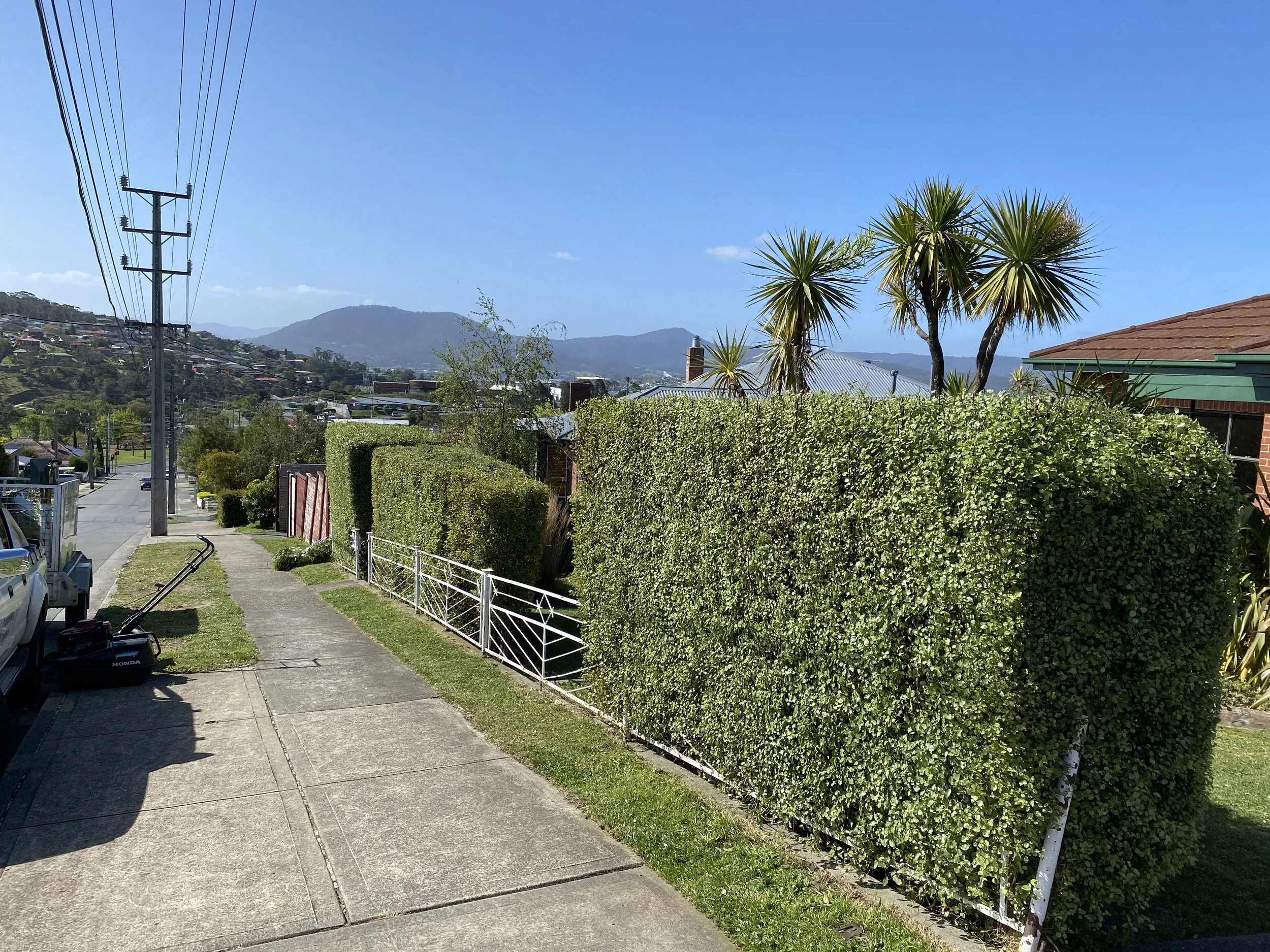 Residential street with sidewalk, parked car, trimmed hedge, palm trees, and mountainous background on a clear sunny day.